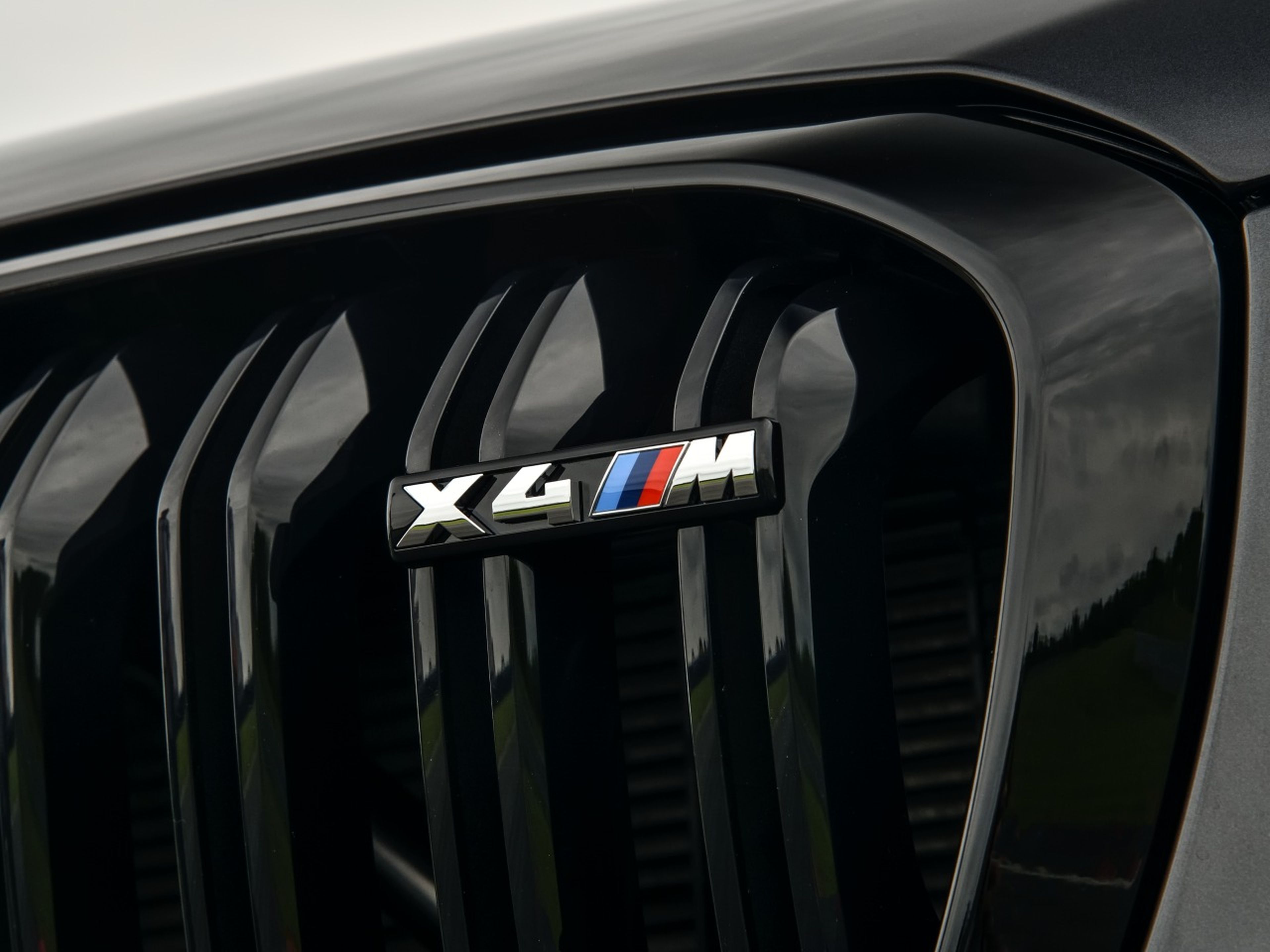 BMW X4 M Competition parrilla