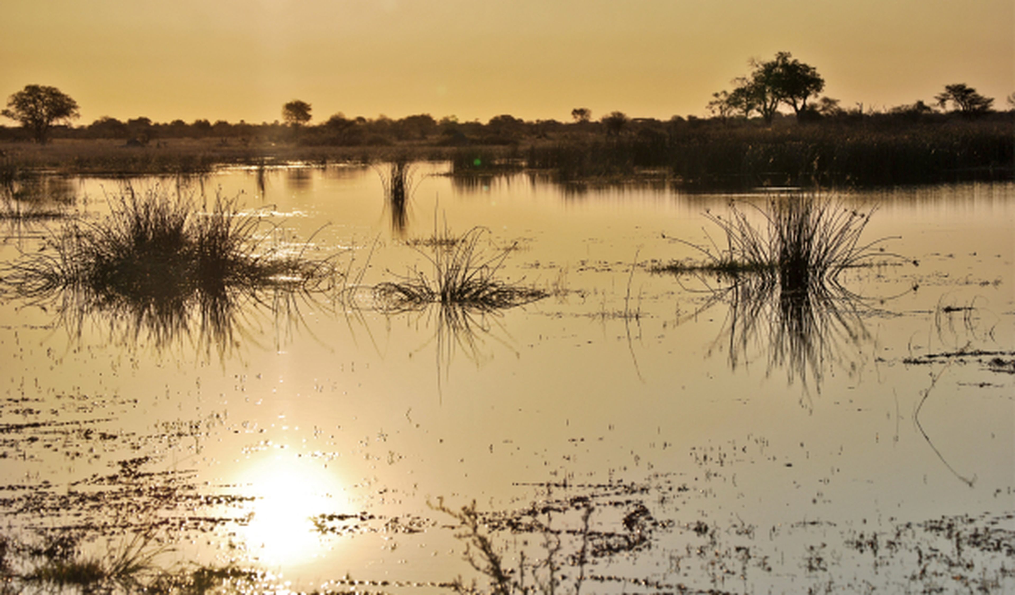 Rio Okavango en Botsuana al atardecer