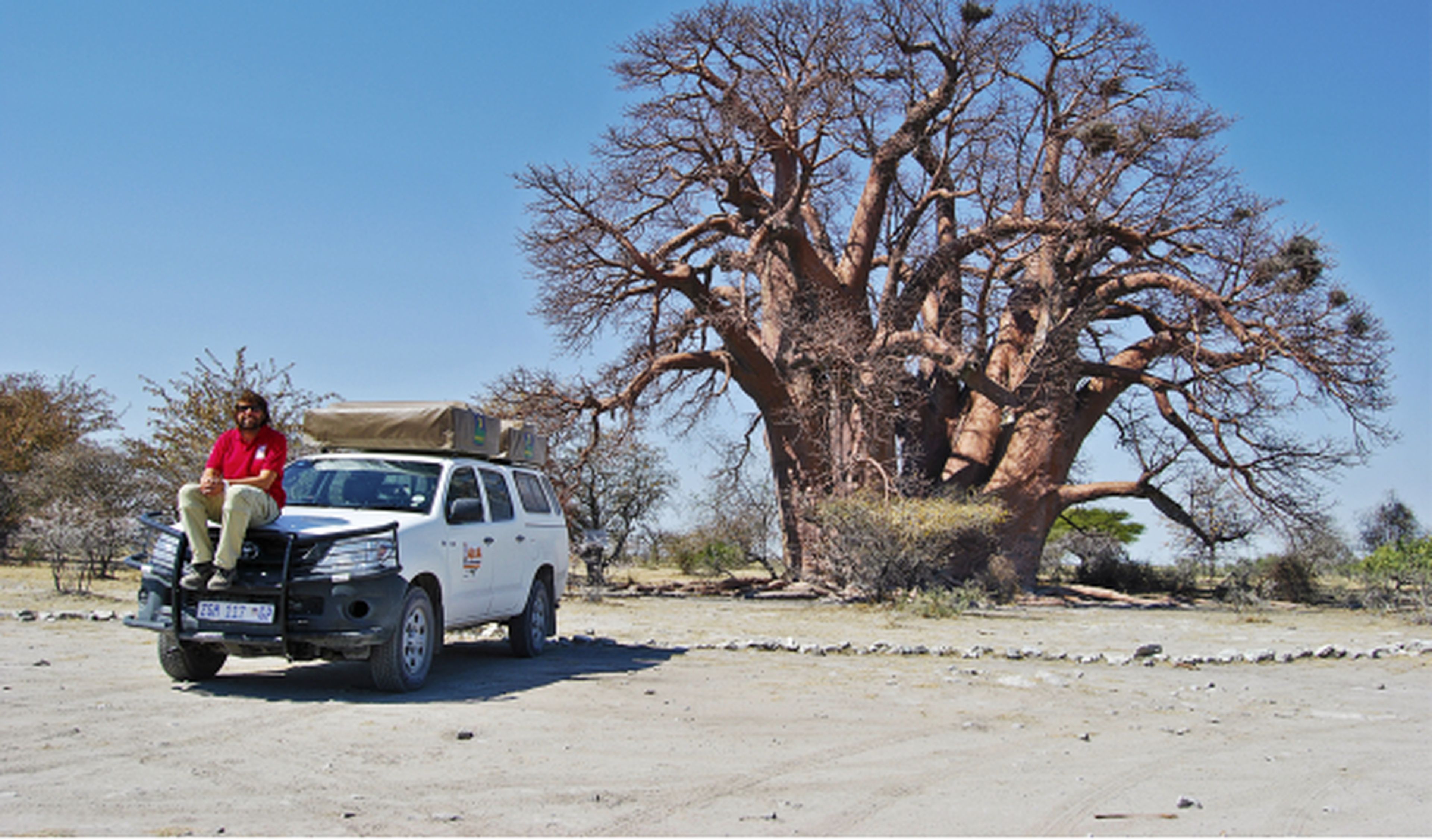 Toyota Hilux y baobab en Botsuana