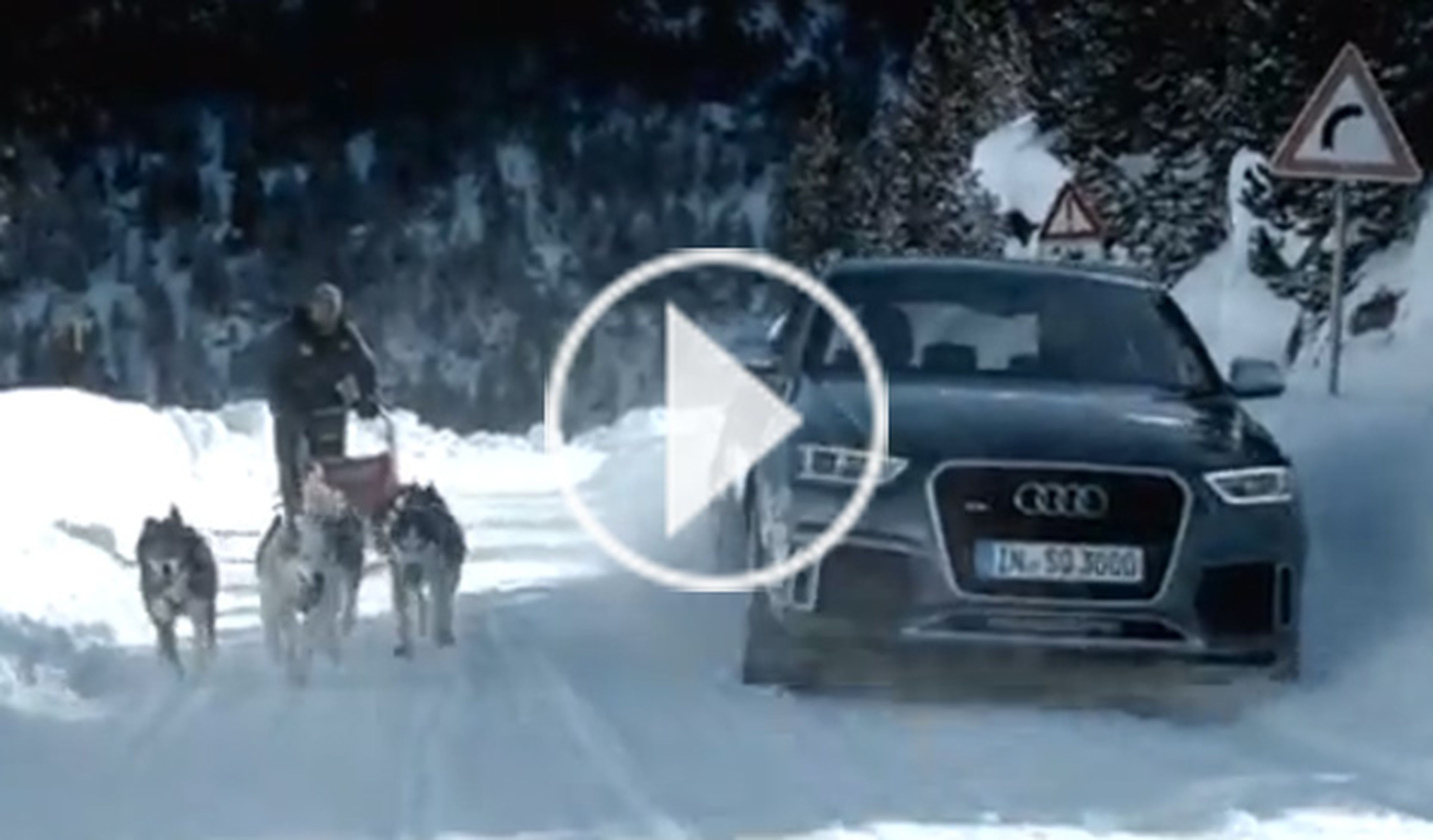 Un Audi RS Q3 contra un tríneo de perros, ¿cuál corre más?