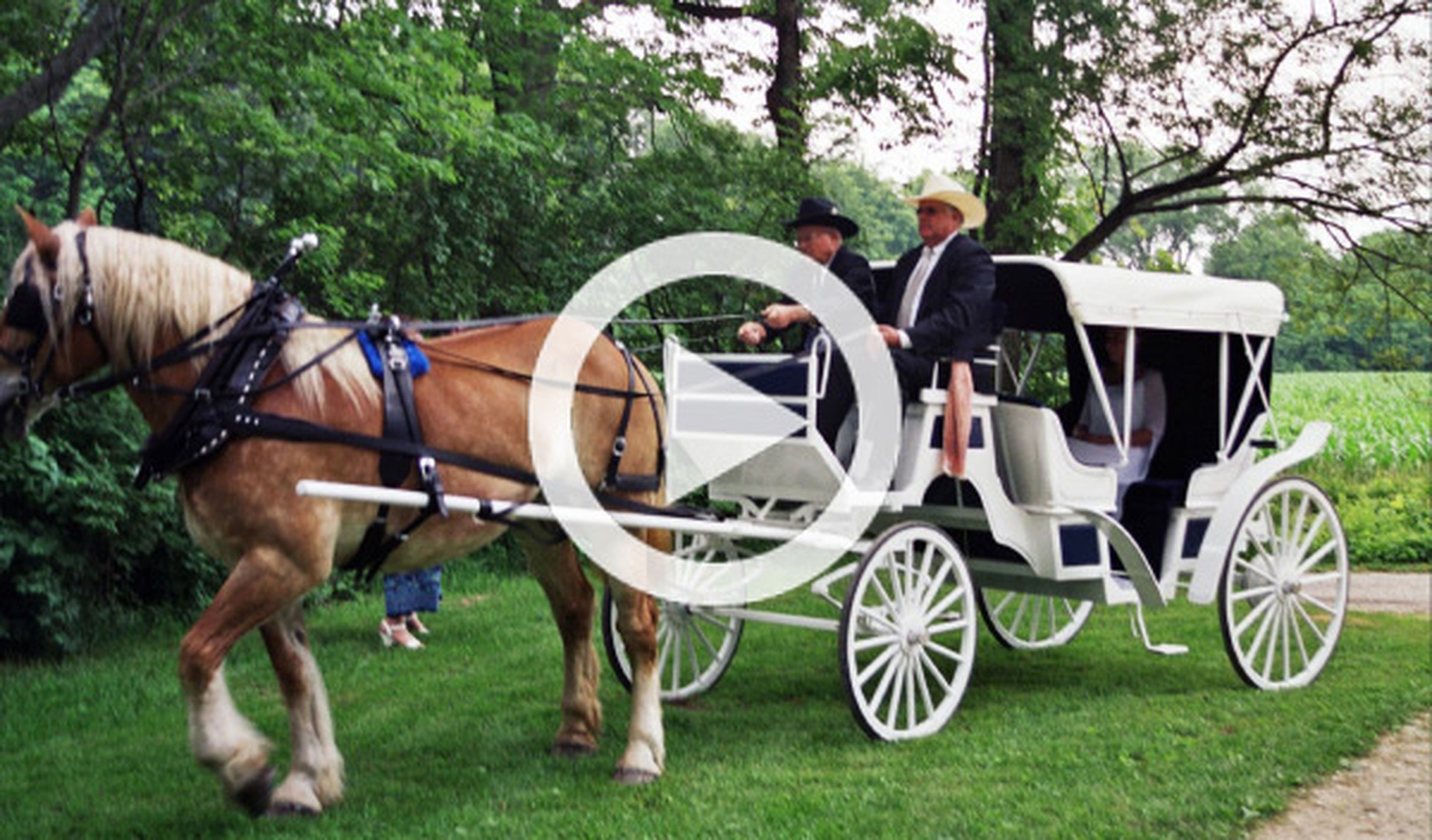 Vídeo: un 'carruaje' de caballos choca contra un coche