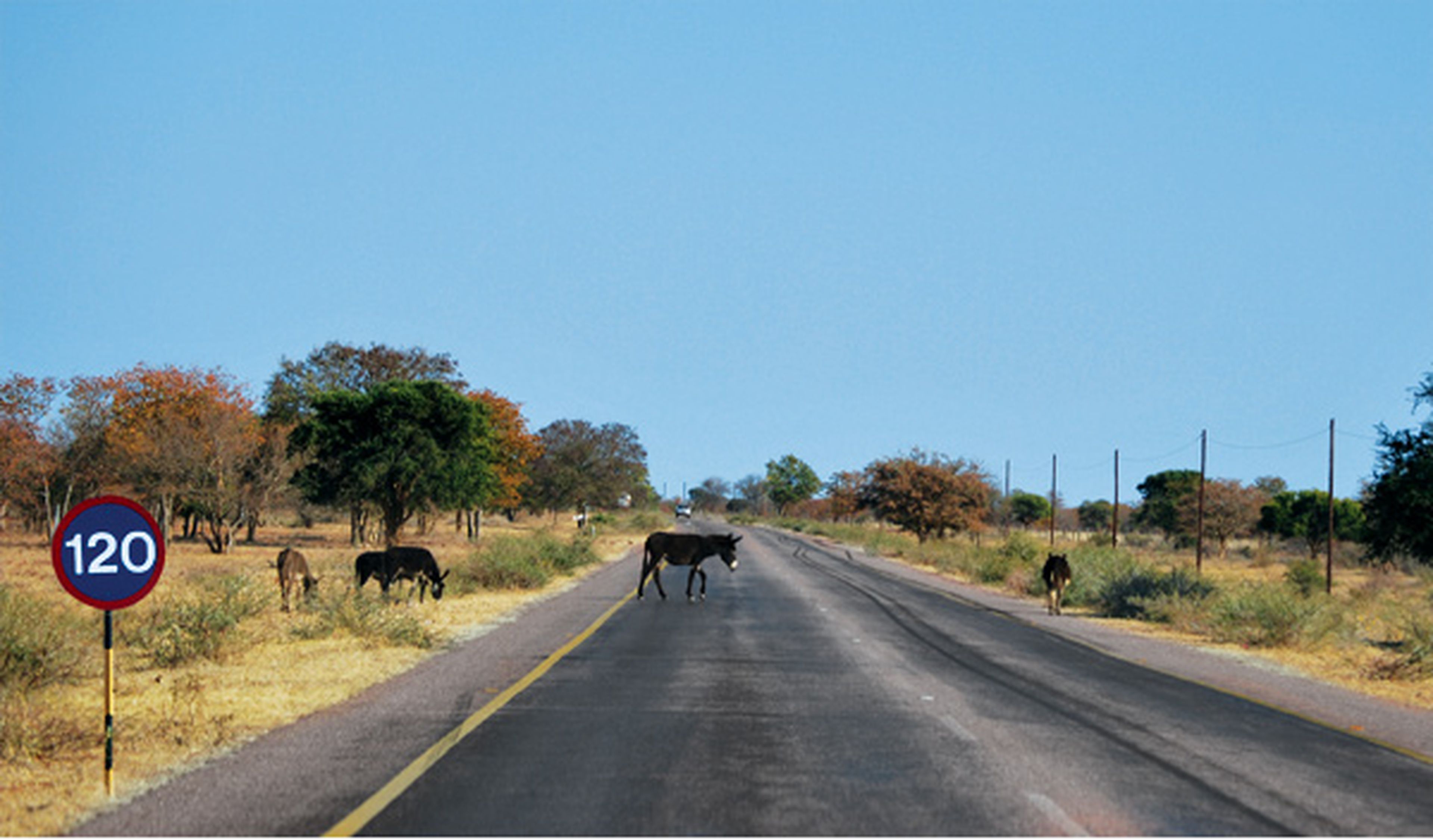 Carretera de Sudáfrica