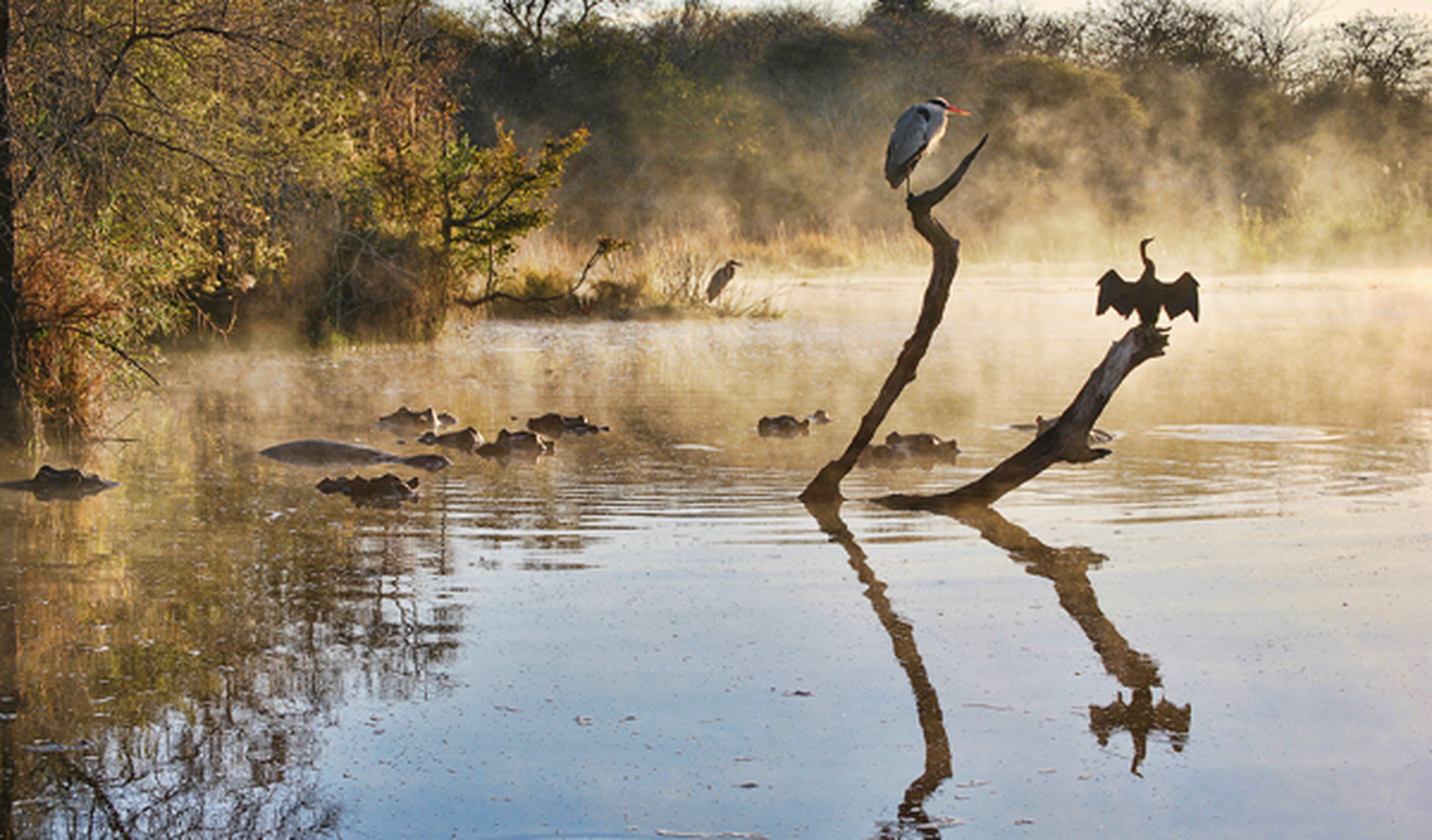 Viaje al Parque Nacional Kruger: regreso al edén