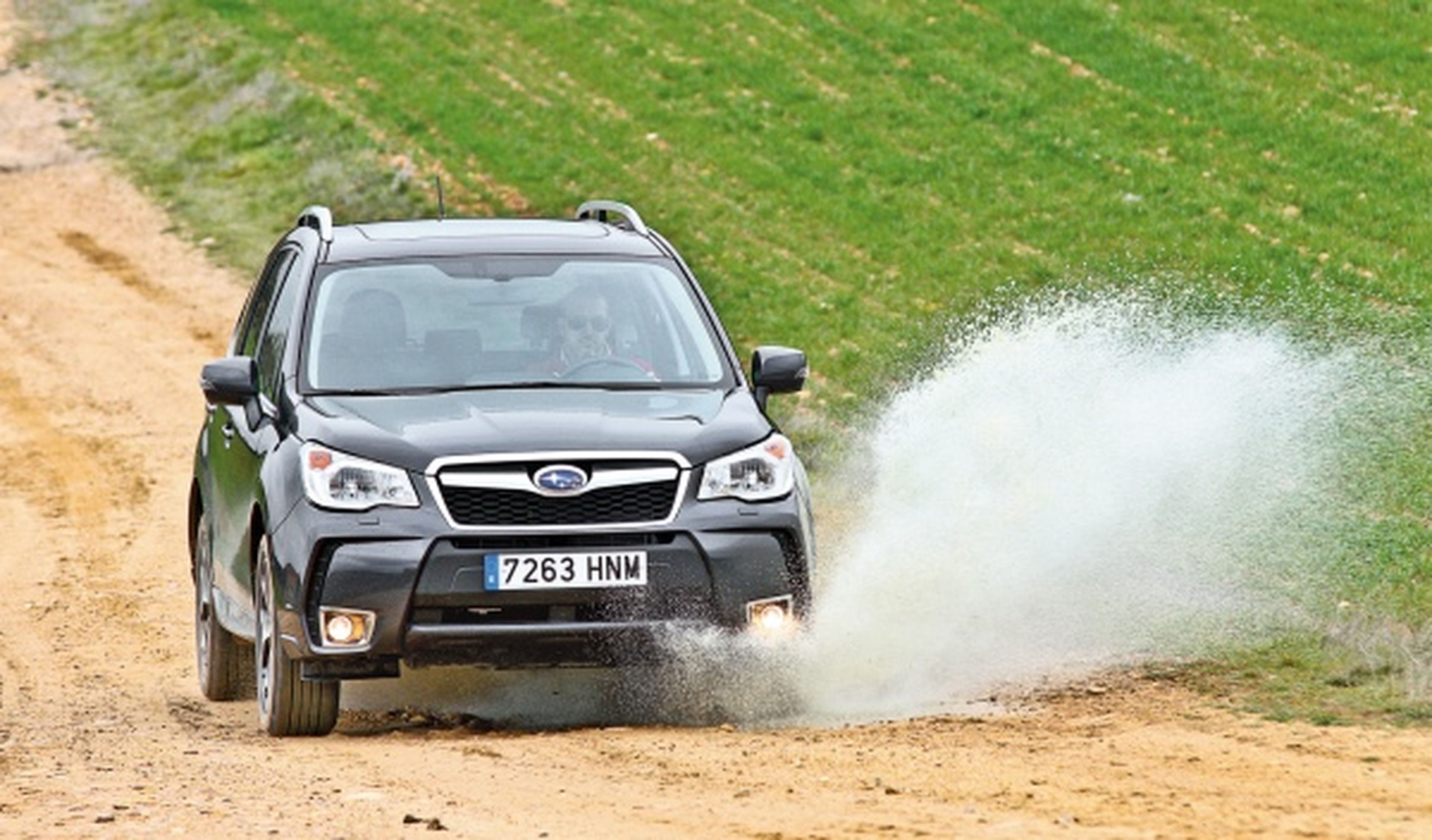 Subaru Forester 2013 frontal