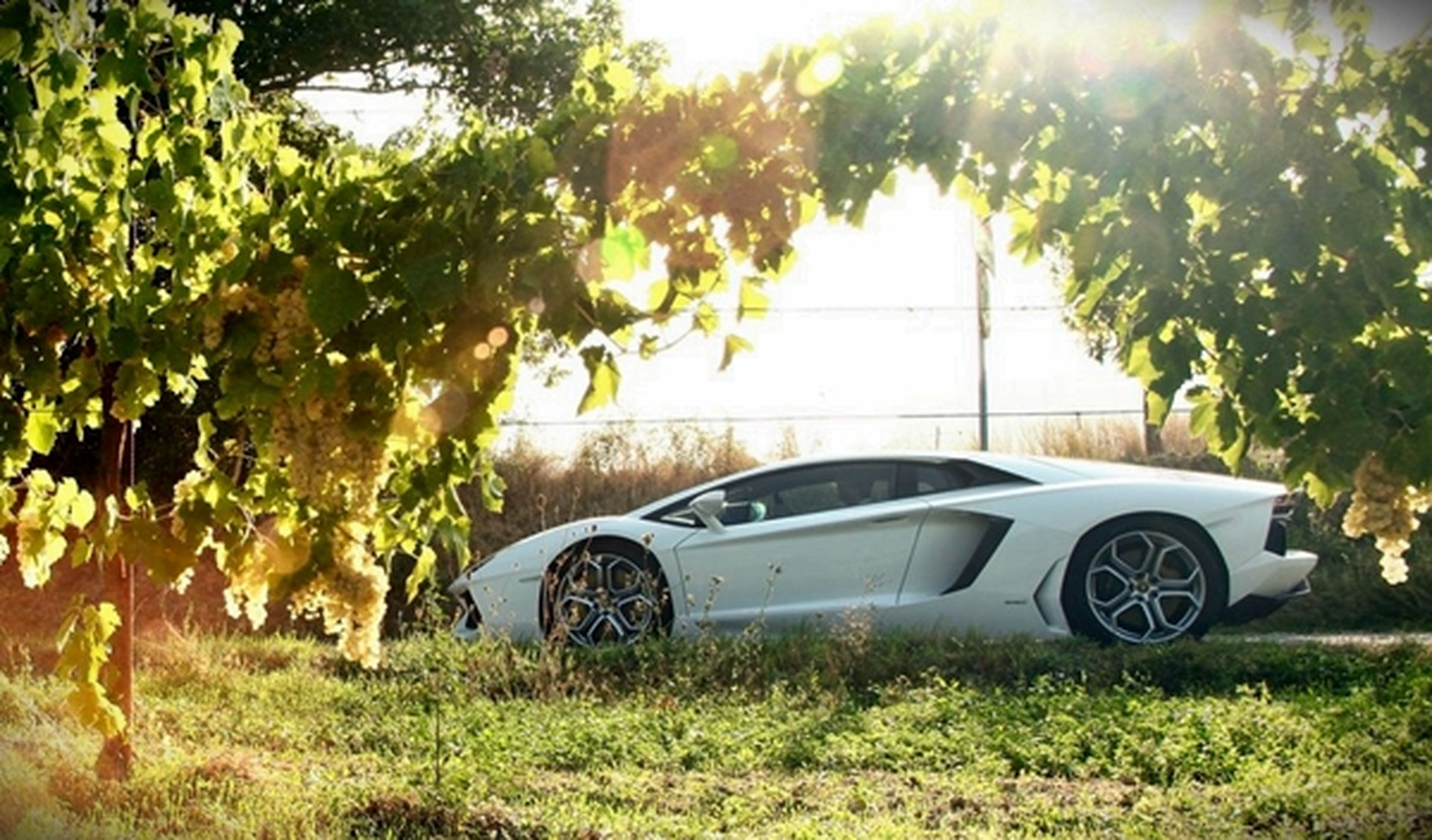 Lamborghini Aventador (este no es el Jackie Chan Edition)