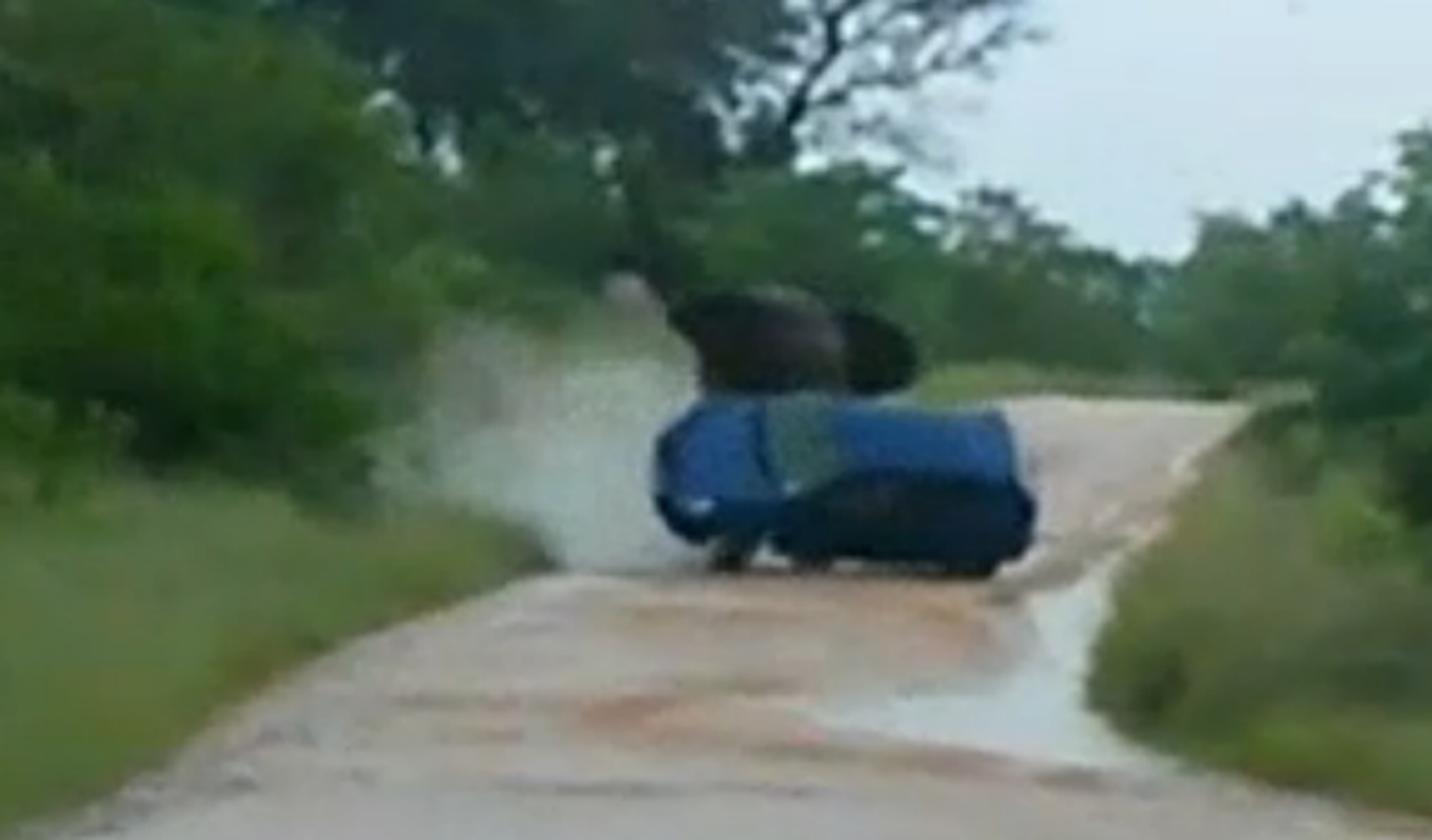 Un elefante enfurecido ataca y vuelca un coche