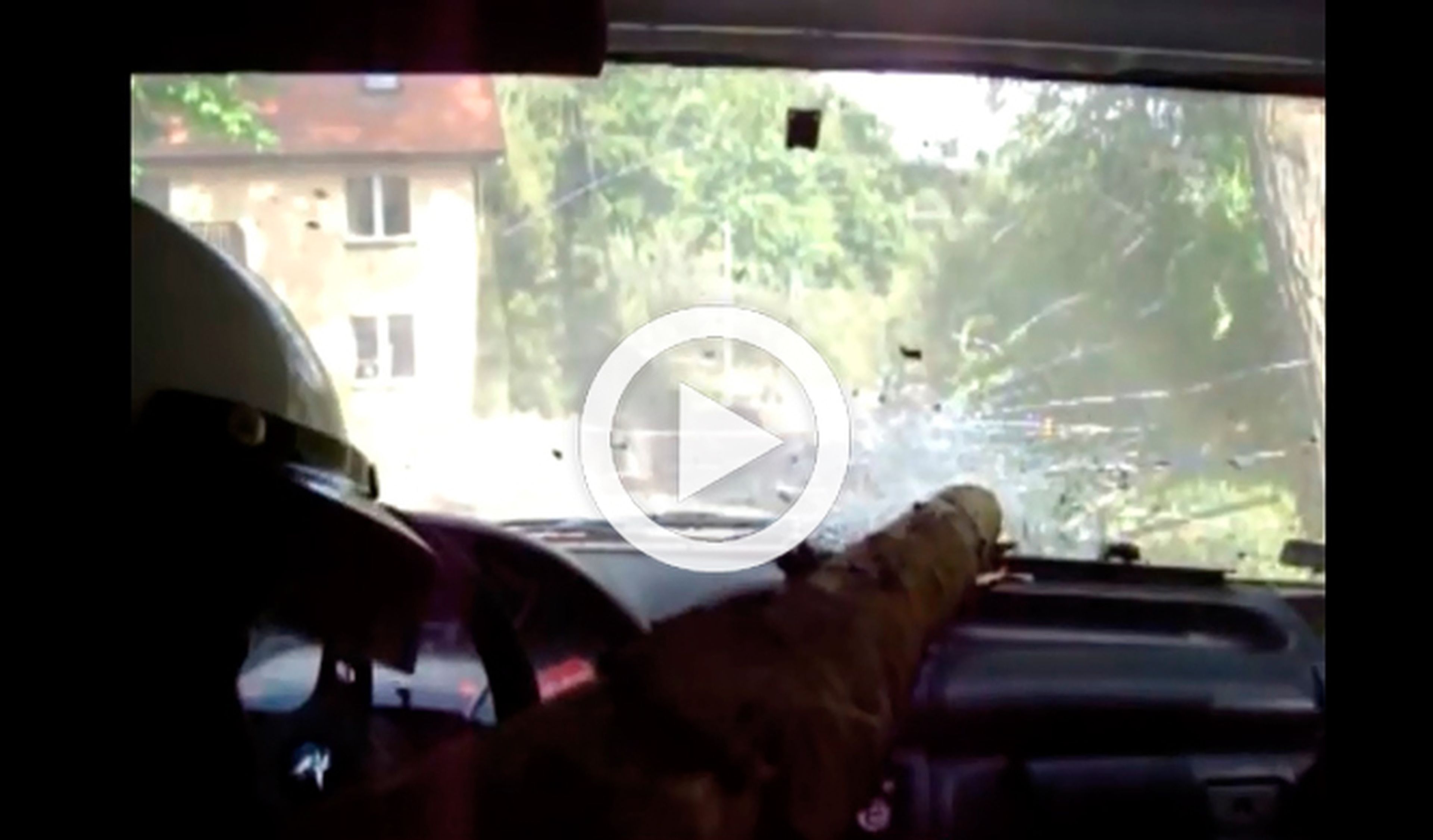 Vídeo: un piloto de rally, a punto de morir empalado