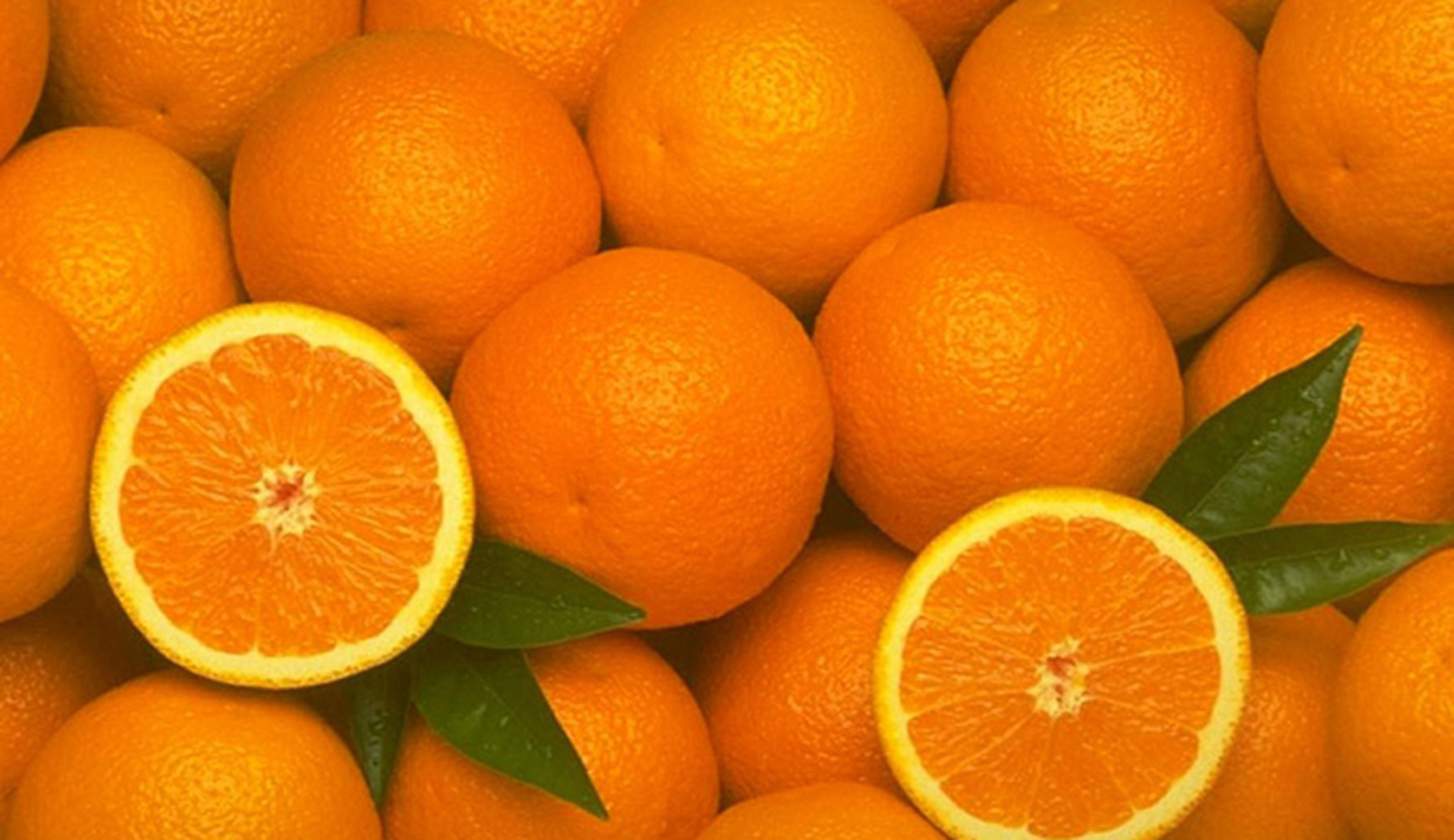 Desarrollan un biocombustible a partir del zumo de naranja