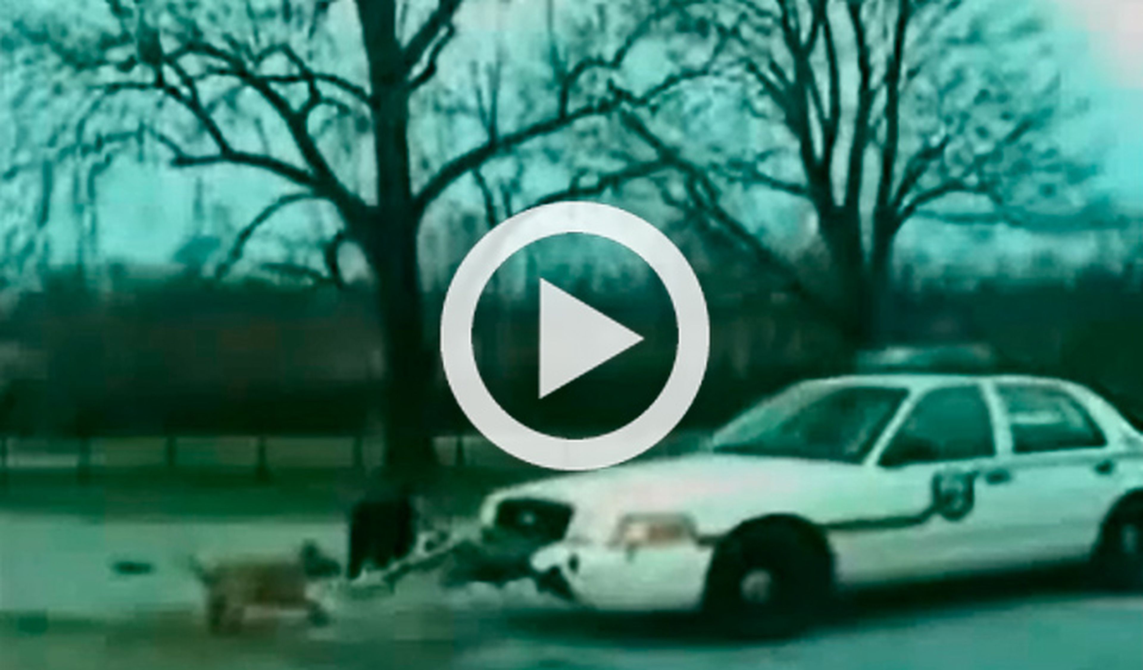 Vídeo: un pitbull ataca un coche patrulla