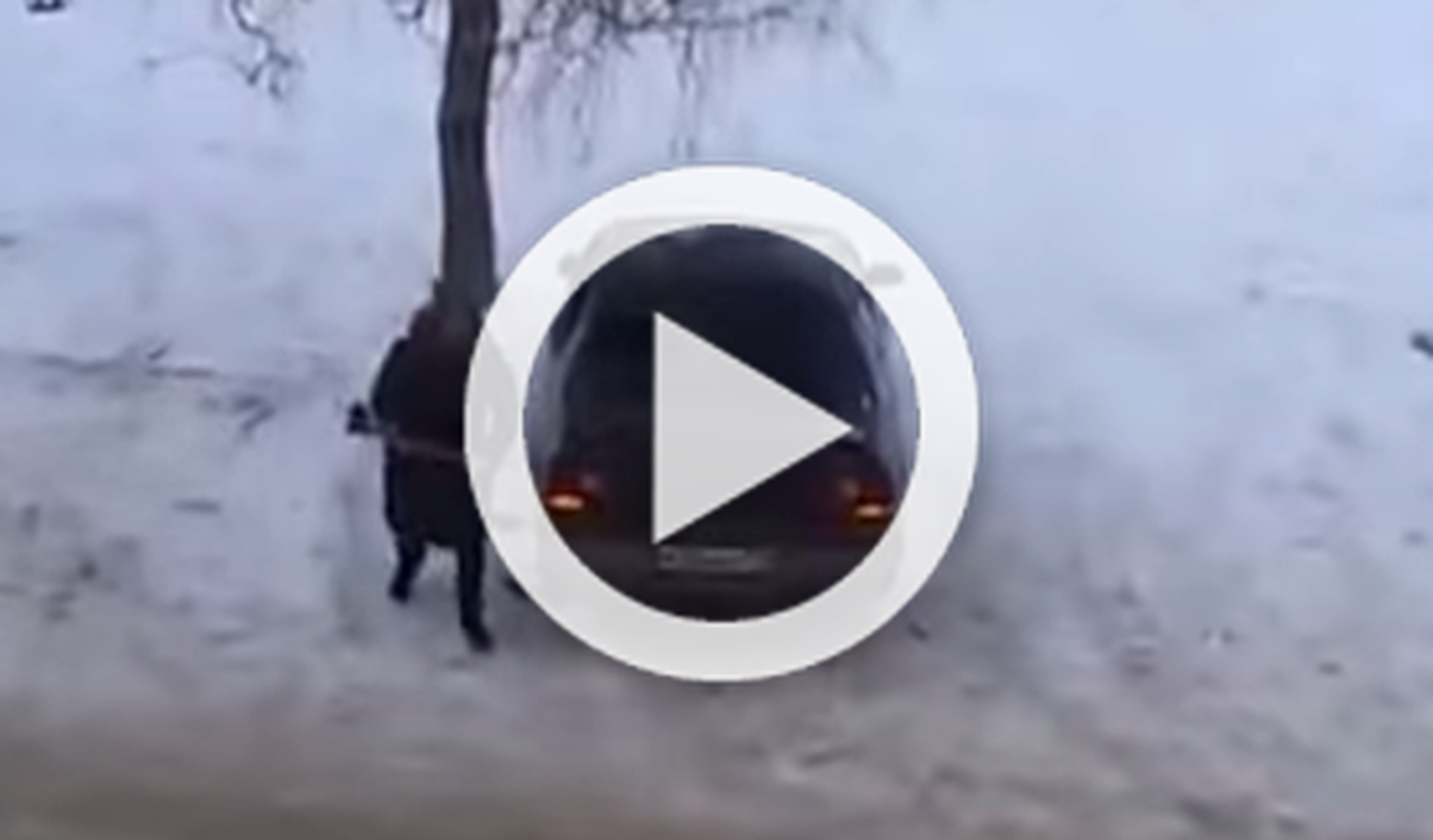 Vídeo: destroza el coche de su exmarido con un hacha