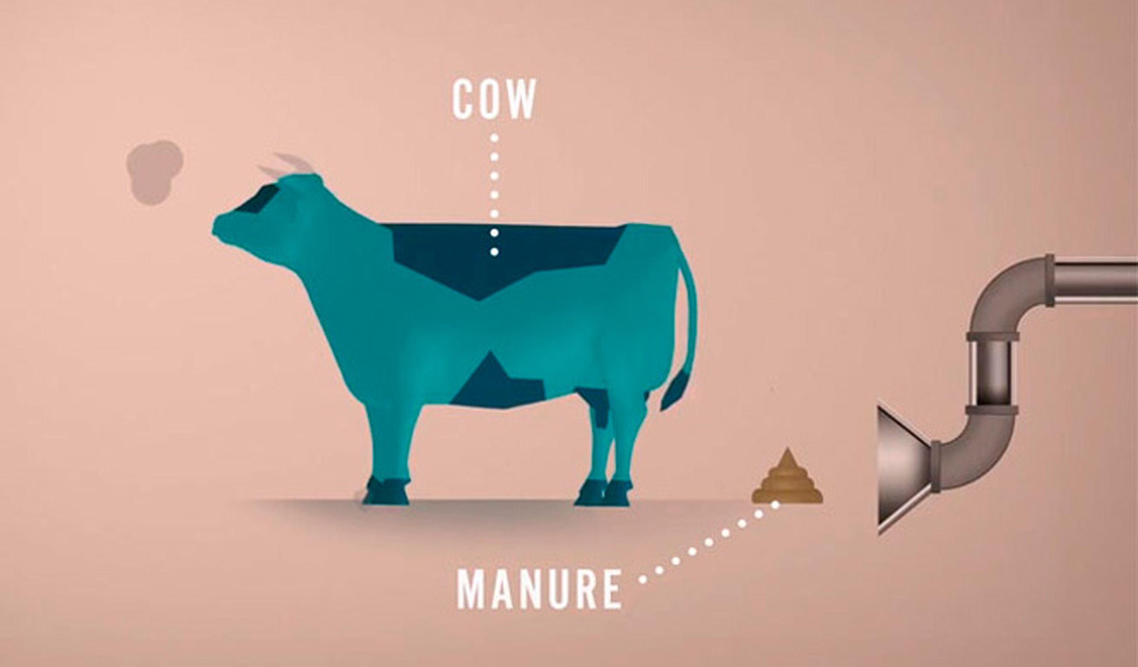 El Toyota Mirai se puede alimentar con estiércol de vaca