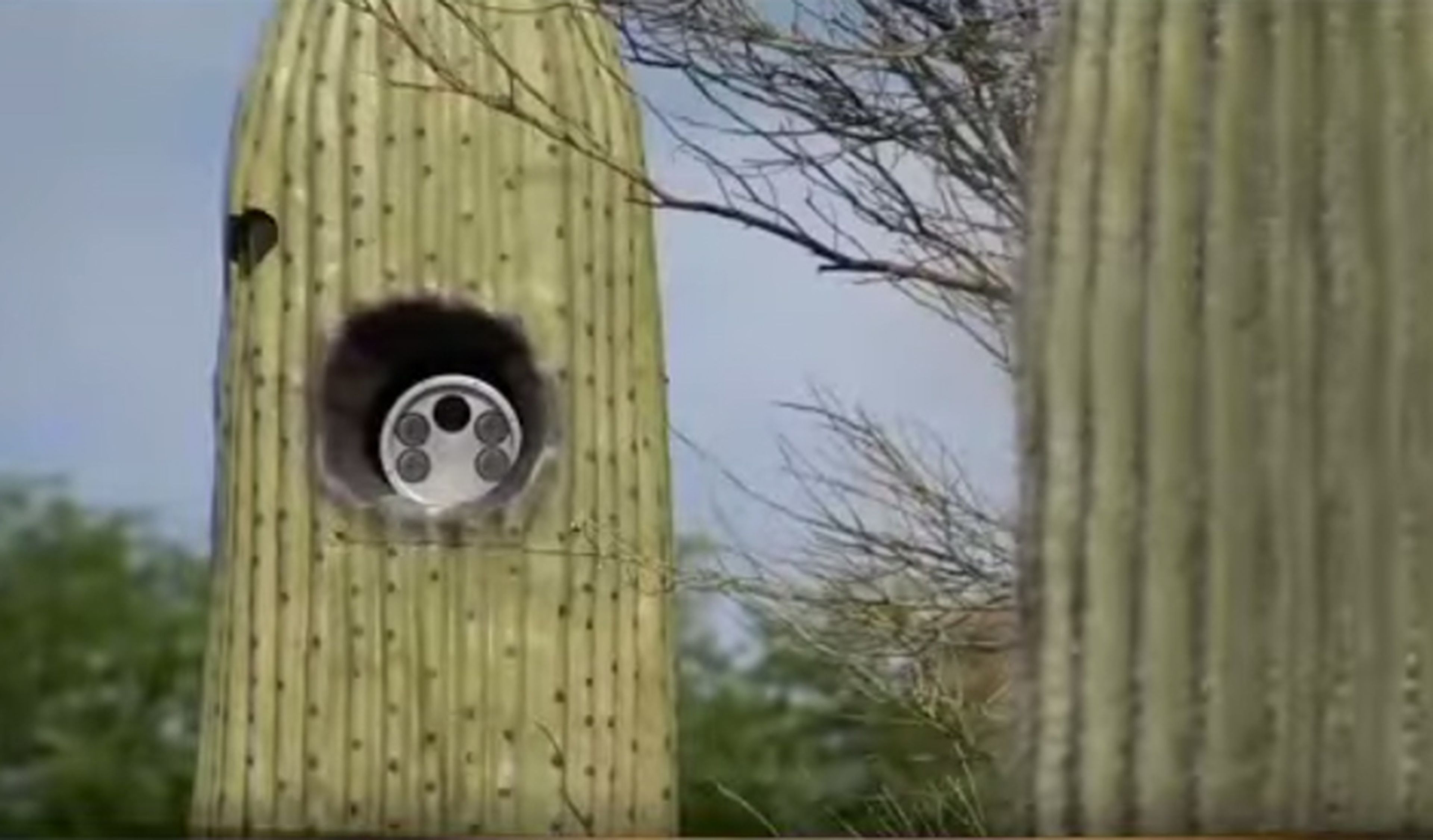Instalan lectores de matrículas escondidos en cactus