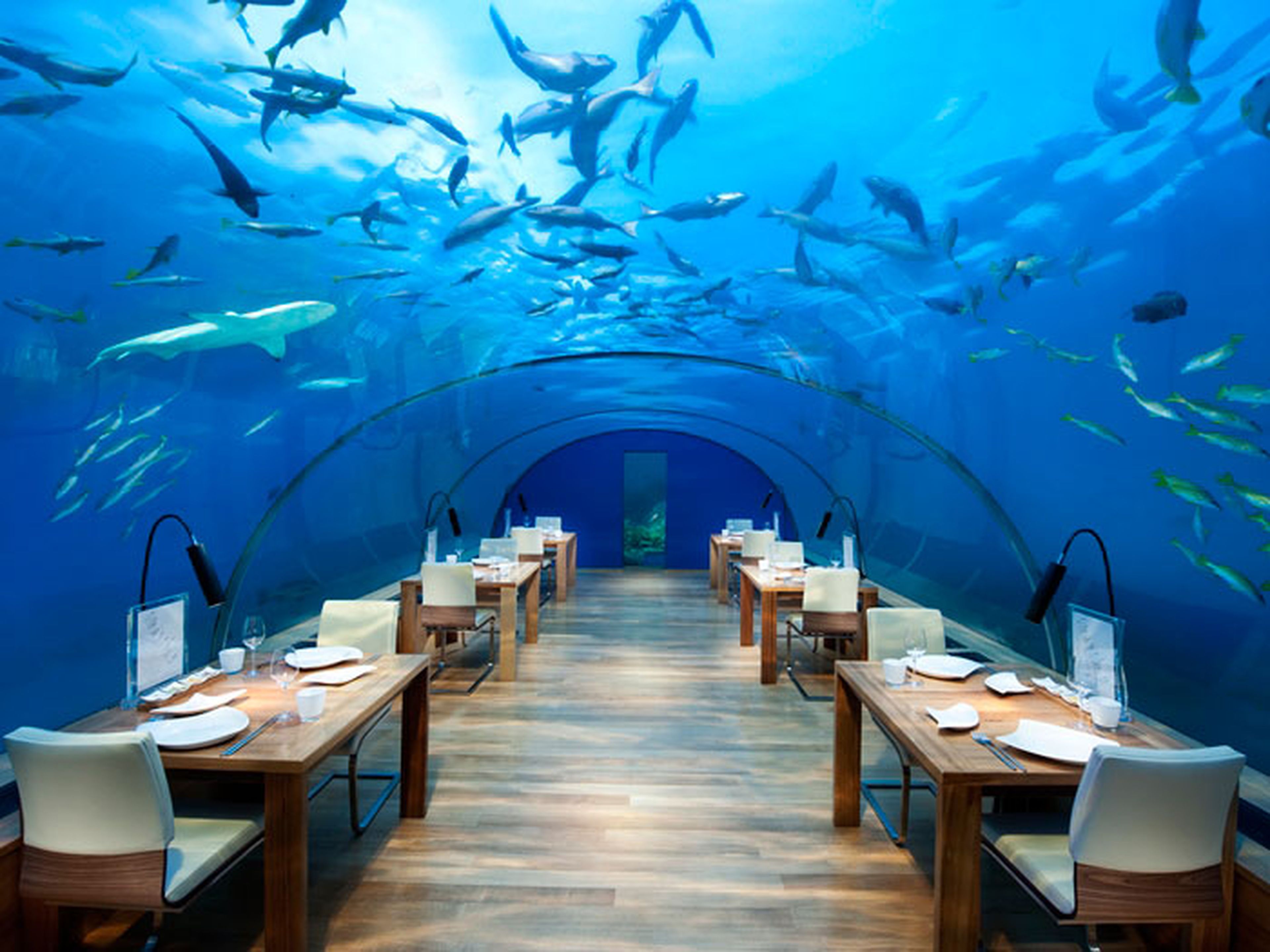 Restaurante Ithaa Undersea