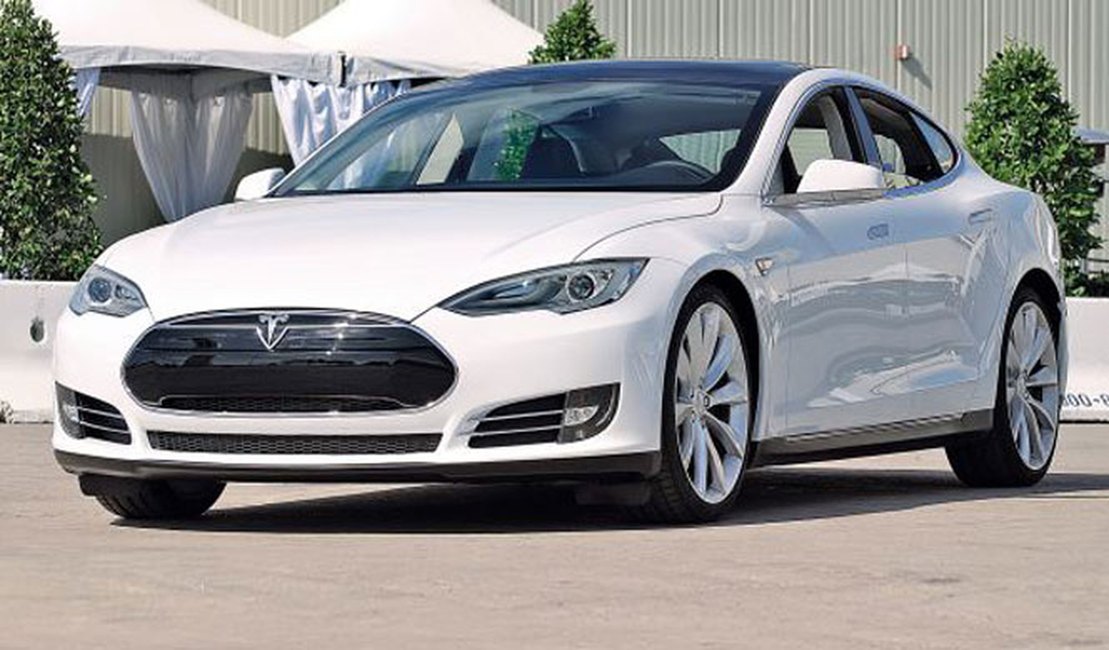 Piden que Tesla haga los coches sin ningún producto animal