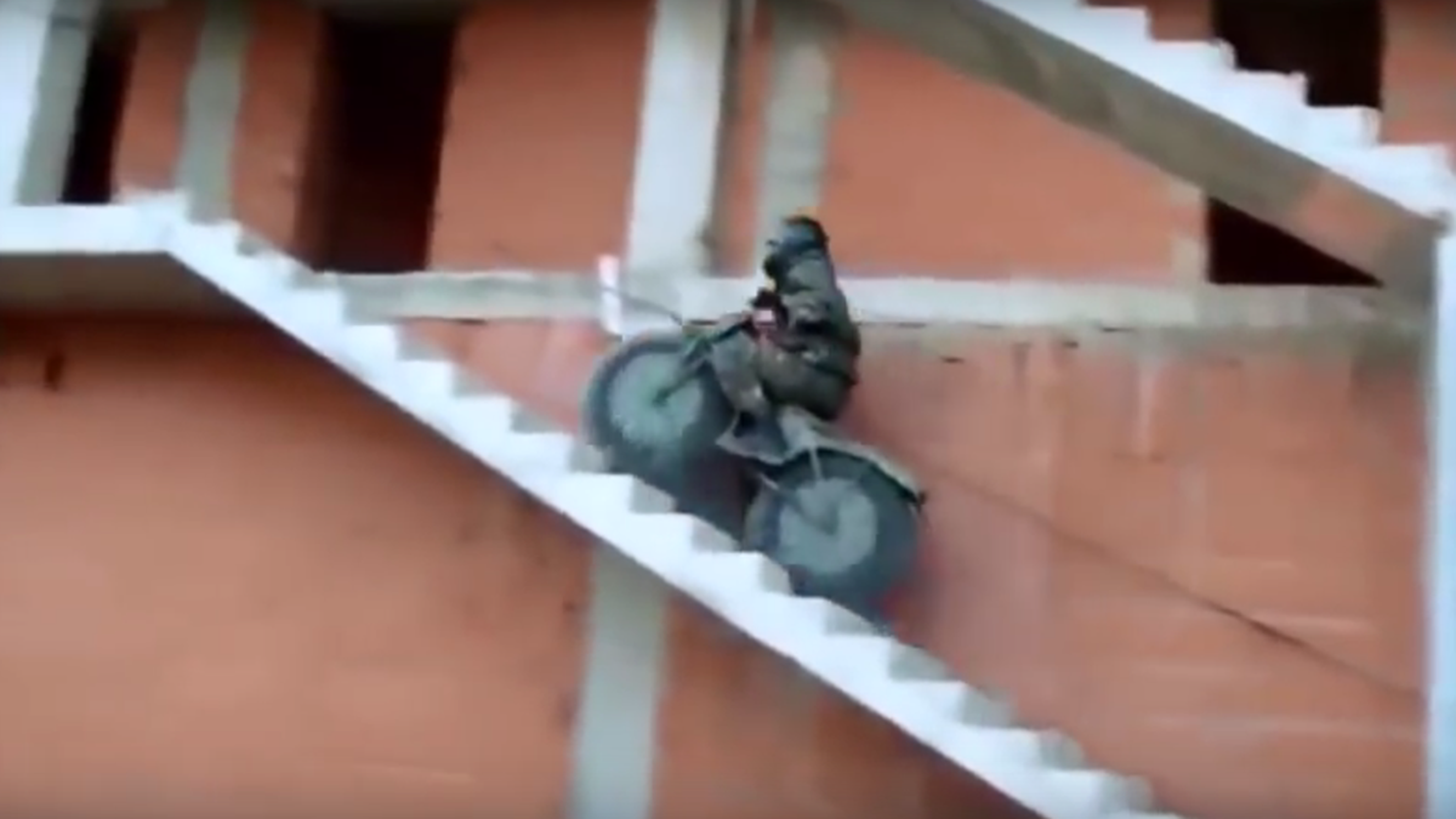 Vídeo: Tarus 2M, ¡la moto más práctica del mundo!