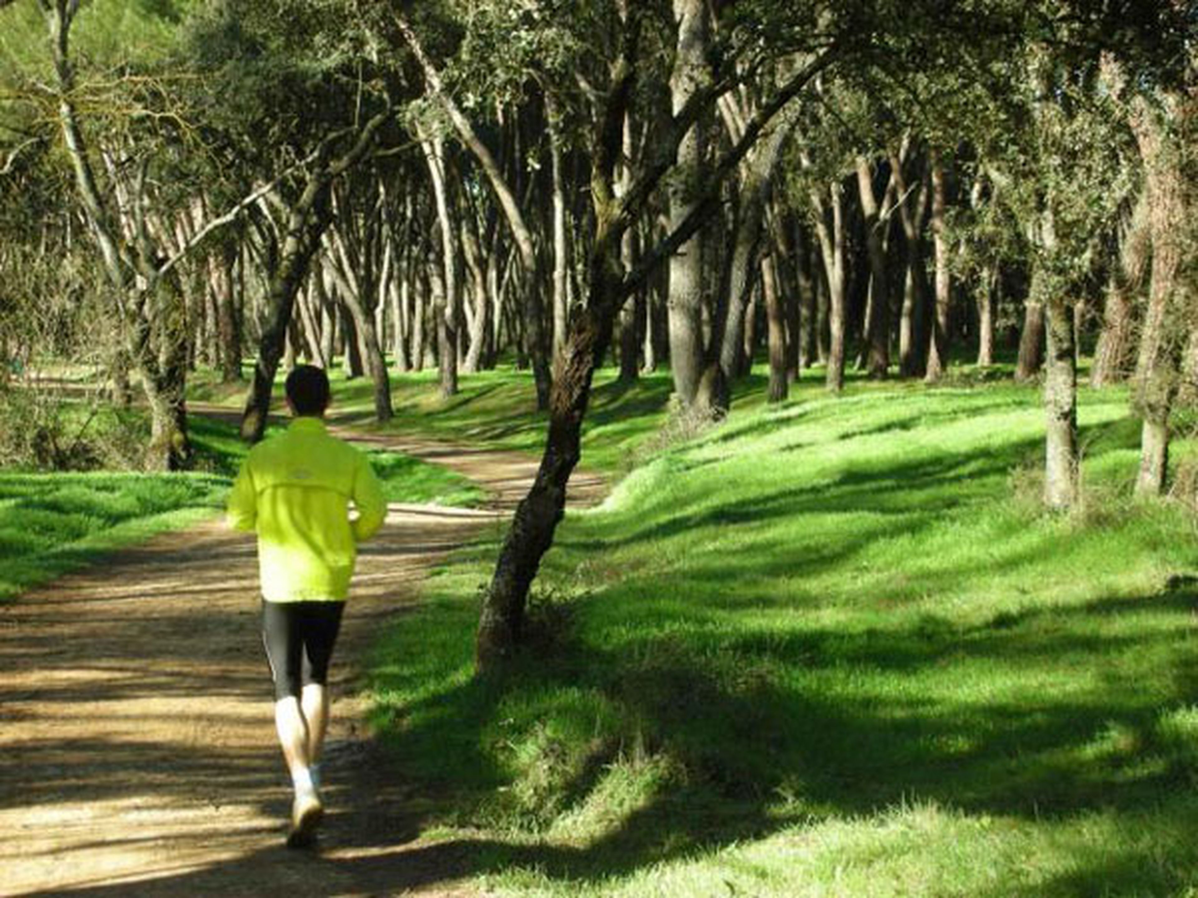 La Dehesa de la Villa es uno de los recorridos mejor valorados tanto para running como paseos a pie