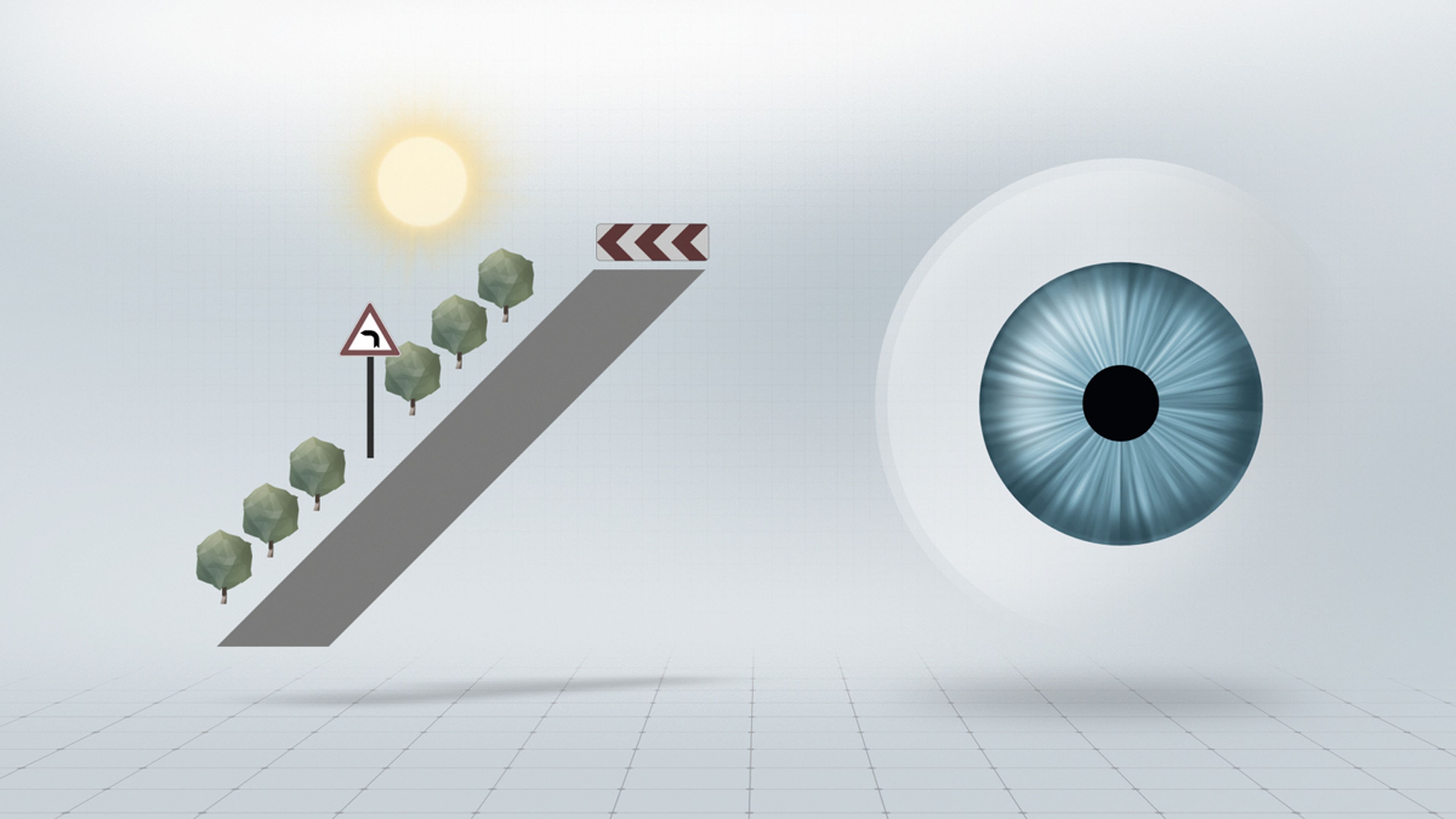 DriveSafe: pupila contraída con mucha luz