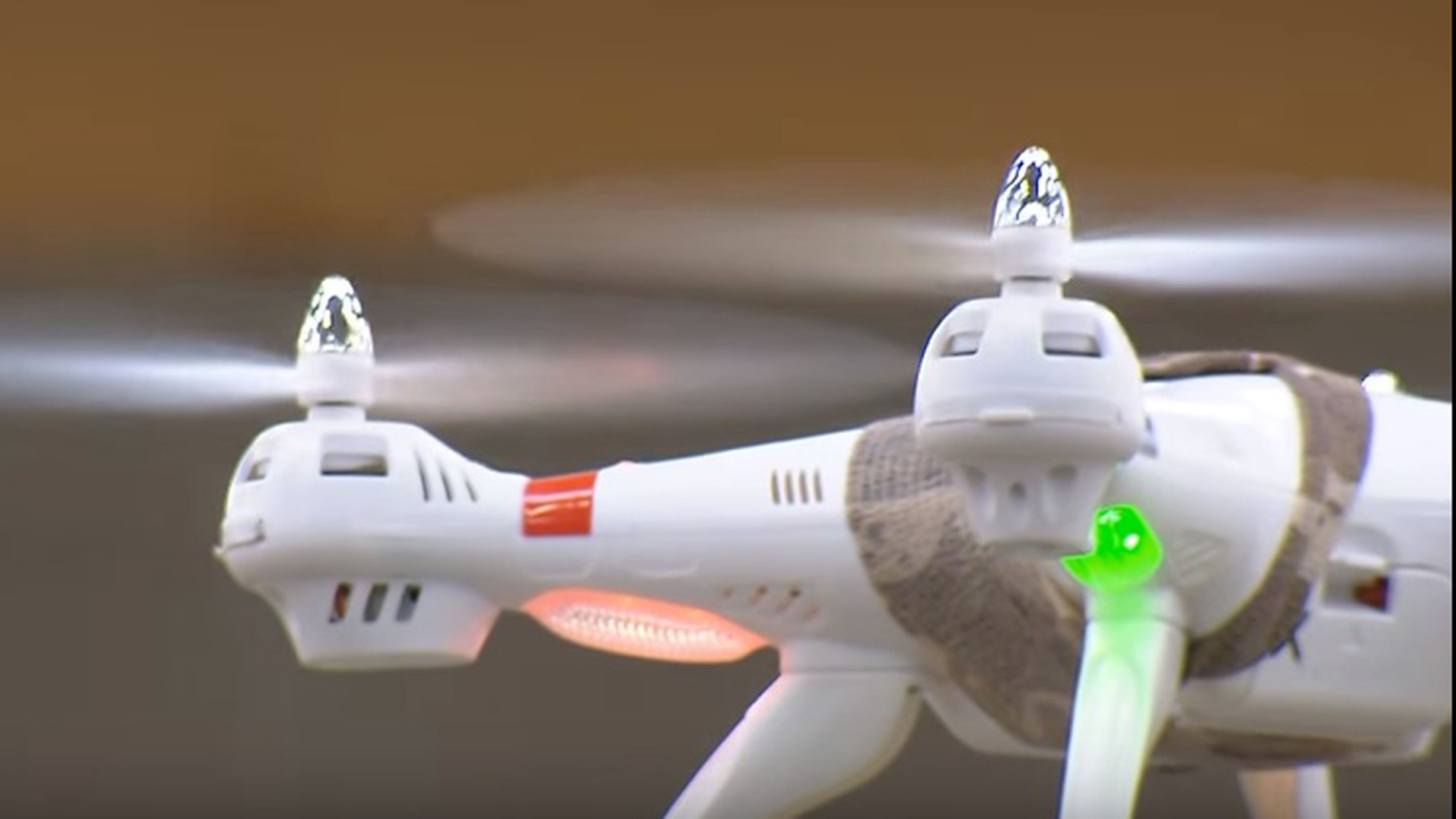drones ilegales cazara aguila