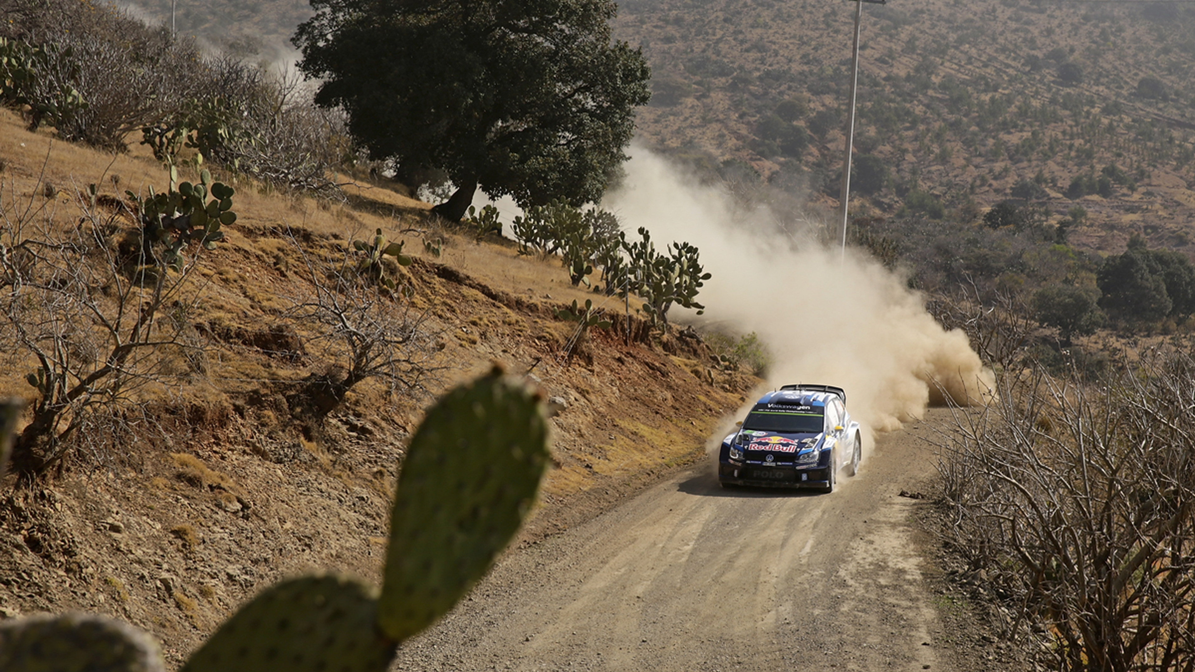 WRC 2016. Rally México: previo, tramos y horarios