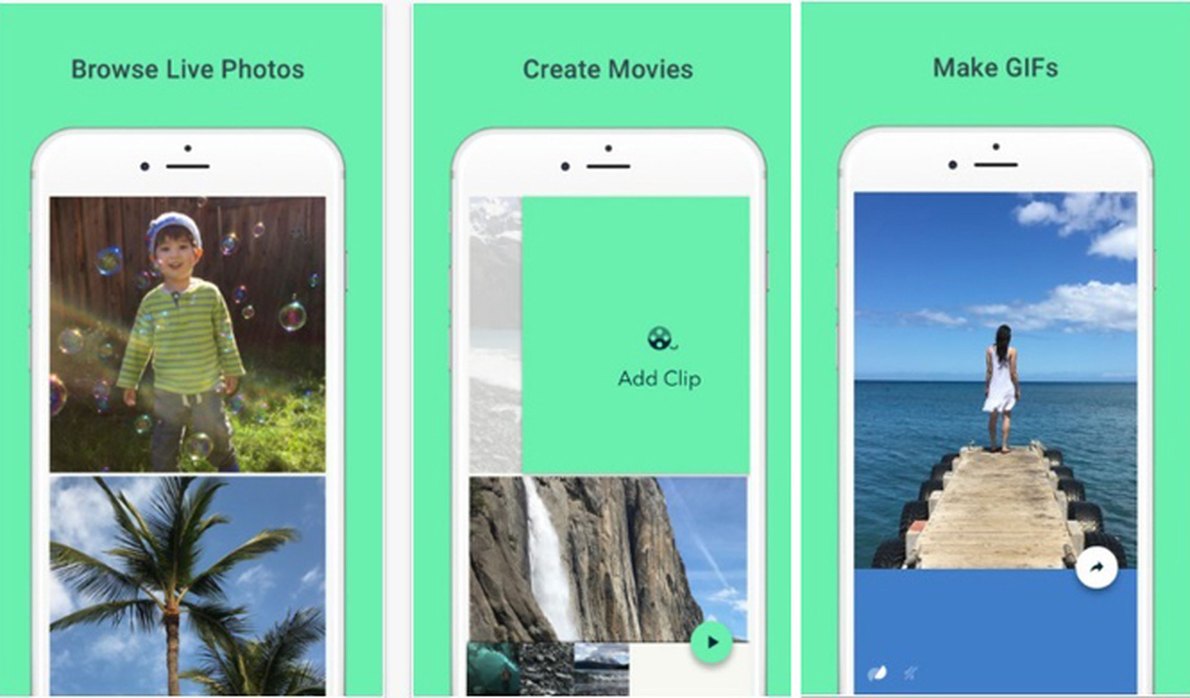 Google hace una app para iPhone que convierte fotos en GIFS