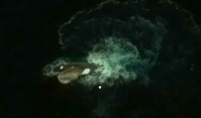 Google Maps: el monstruo marino encontraron es... -- -- Autobild.es