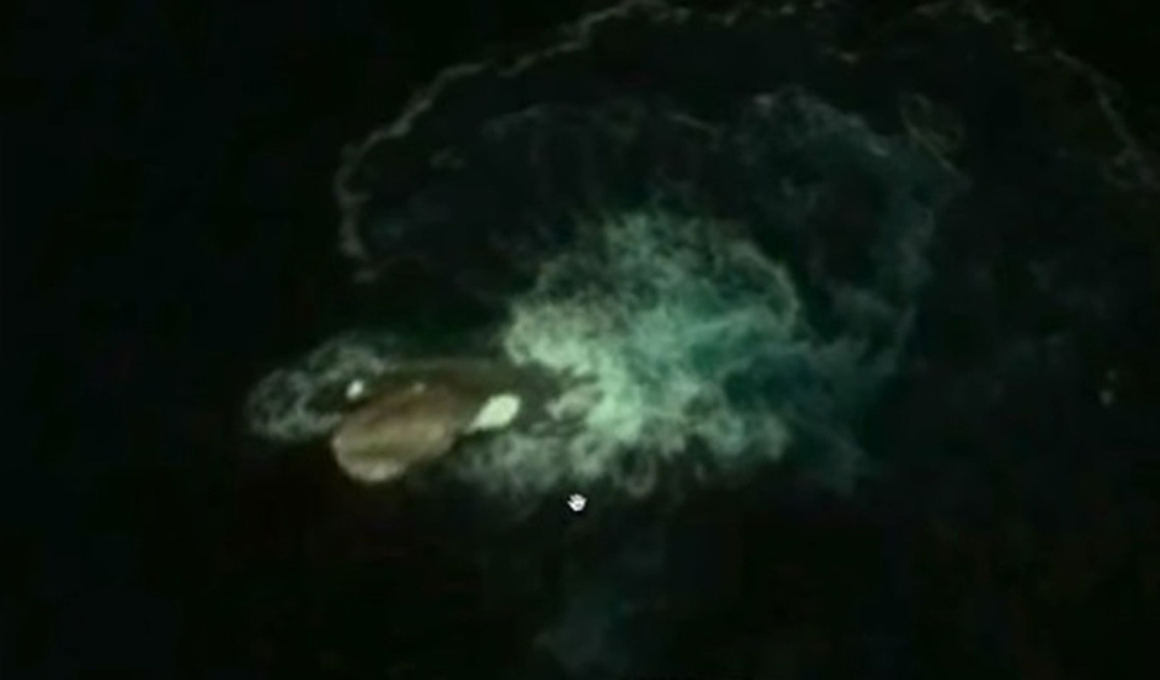 Google Maps: el monstruo marino que encontraron es...