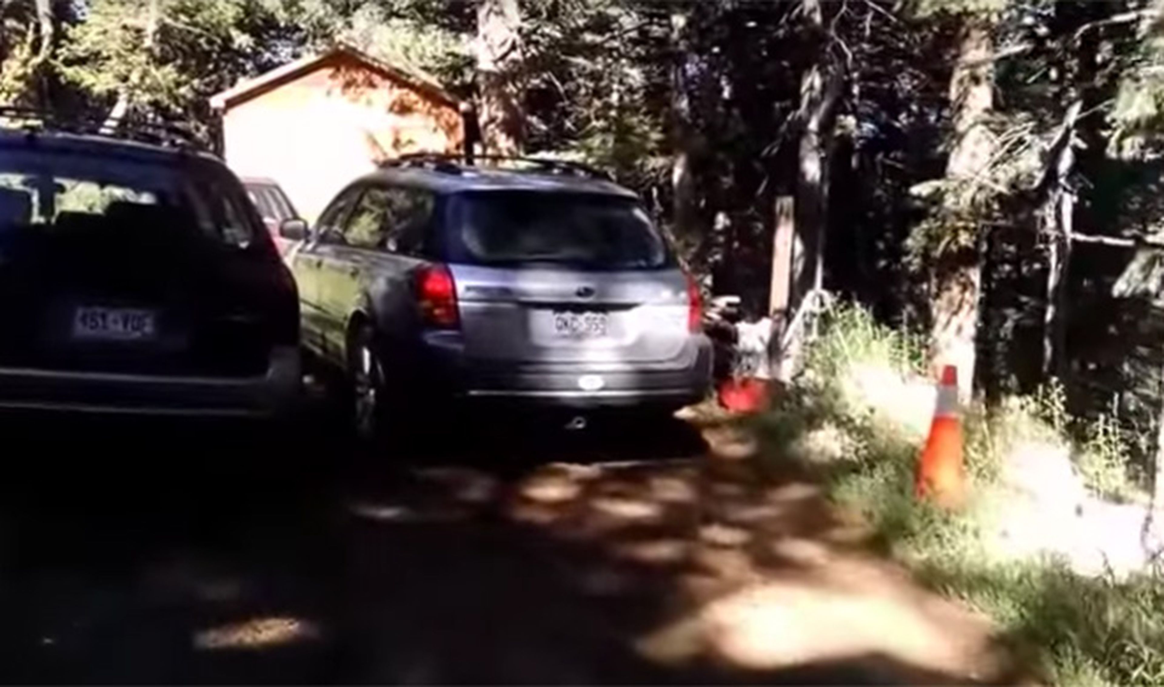 Vídeo: ¿un oso dentro de un Subaru?