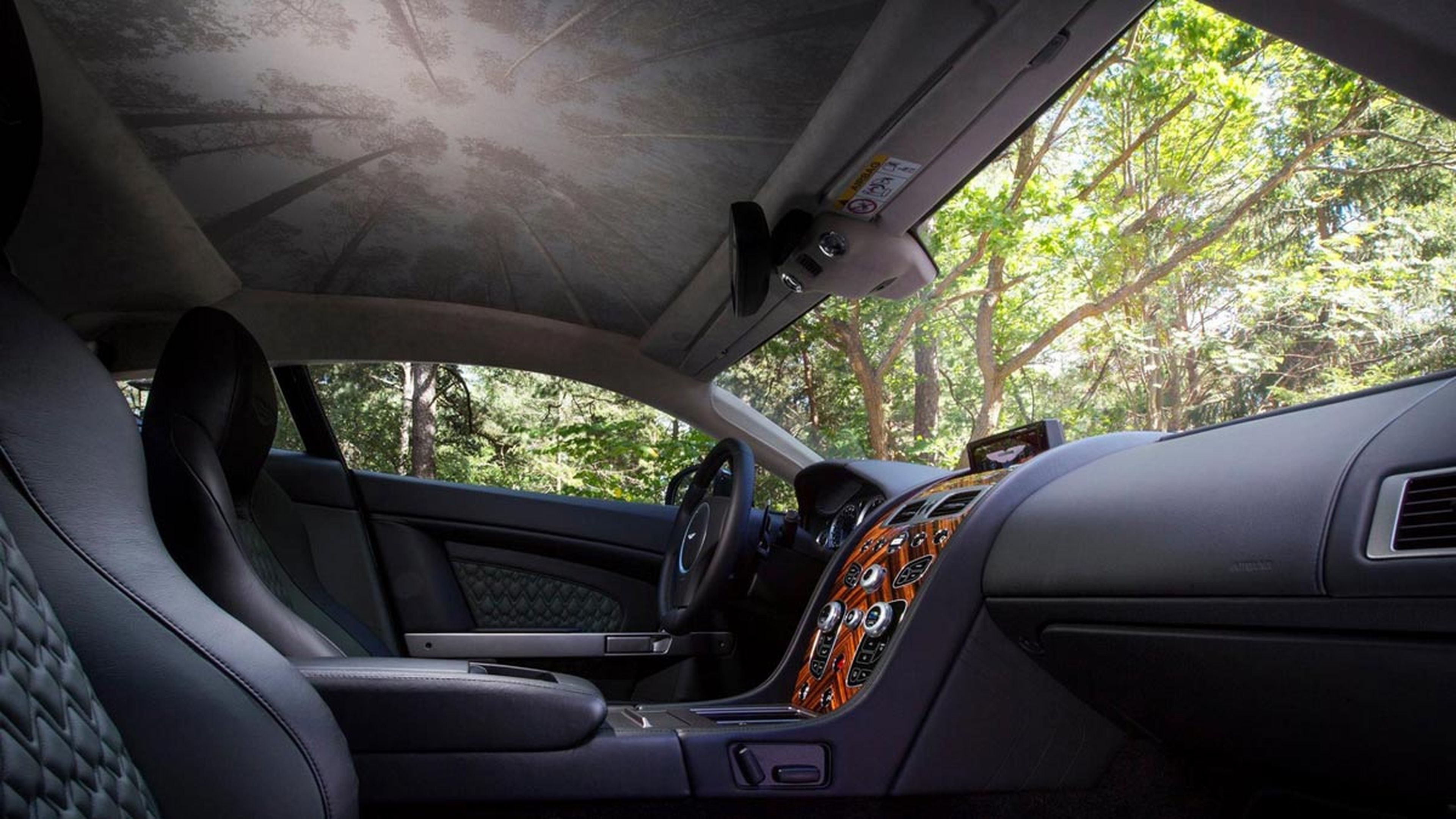 Aston Martin V8 Vantage S Forest Edition interior