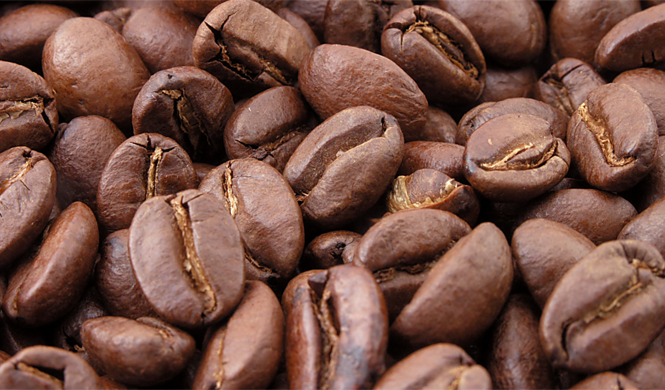 La empresa que quiere transformar café en combustible La empresa que quiere transformar café en combustible