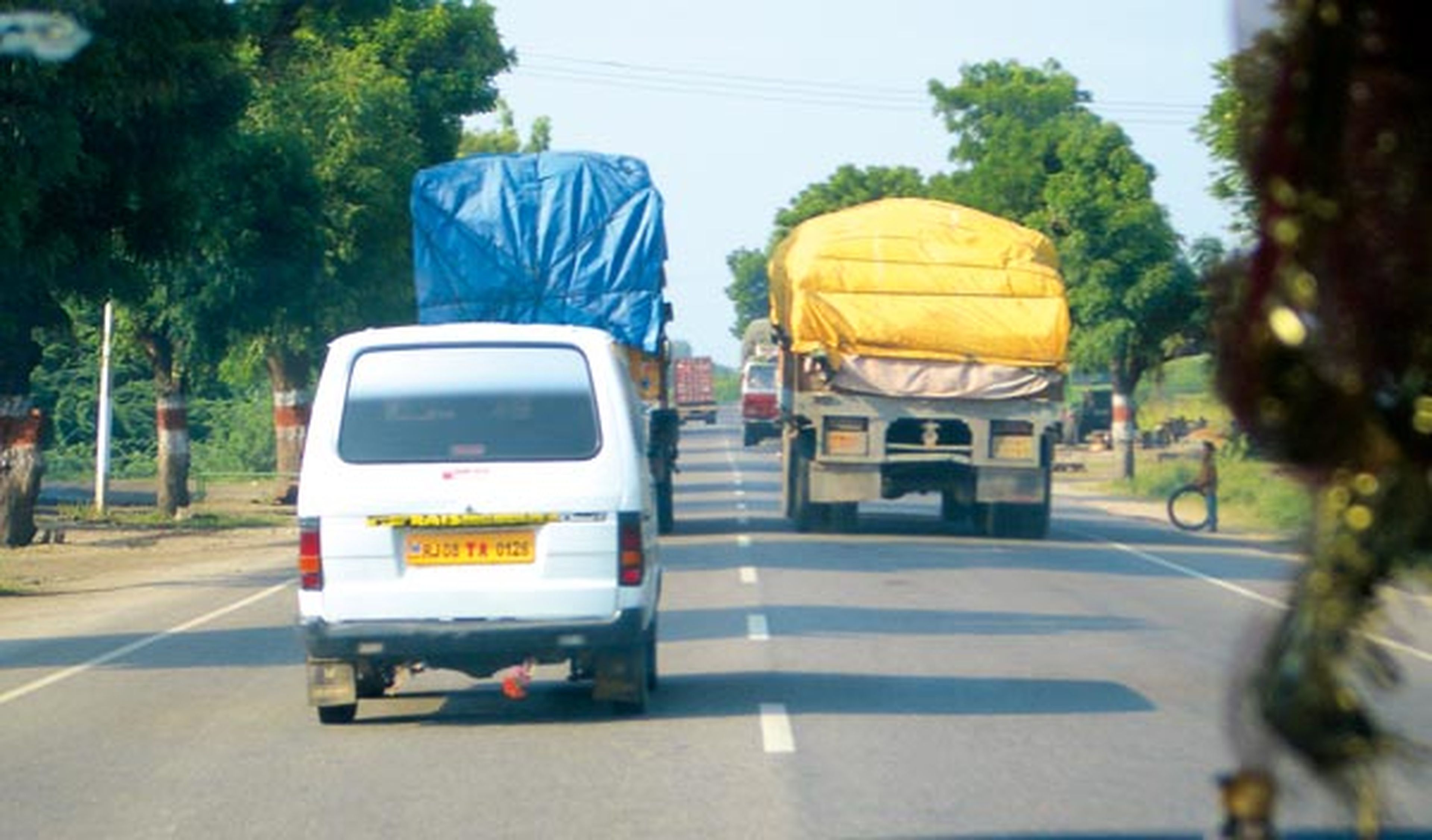 Conducción en la India: la verdadera jungla del asfalto