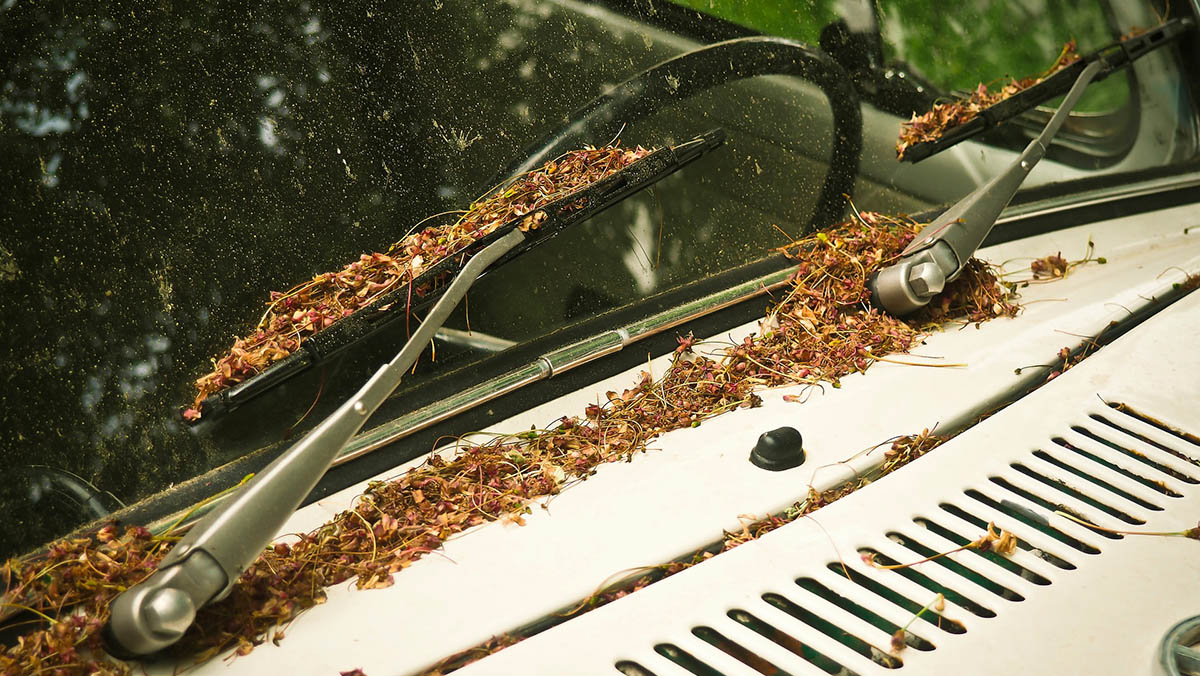 ¿Está tu coche preparado para el otoño? Vigila los limpiaparabrisas ¿Está tu coche preparado para el otoño? Vigila los limpiaparabrisas