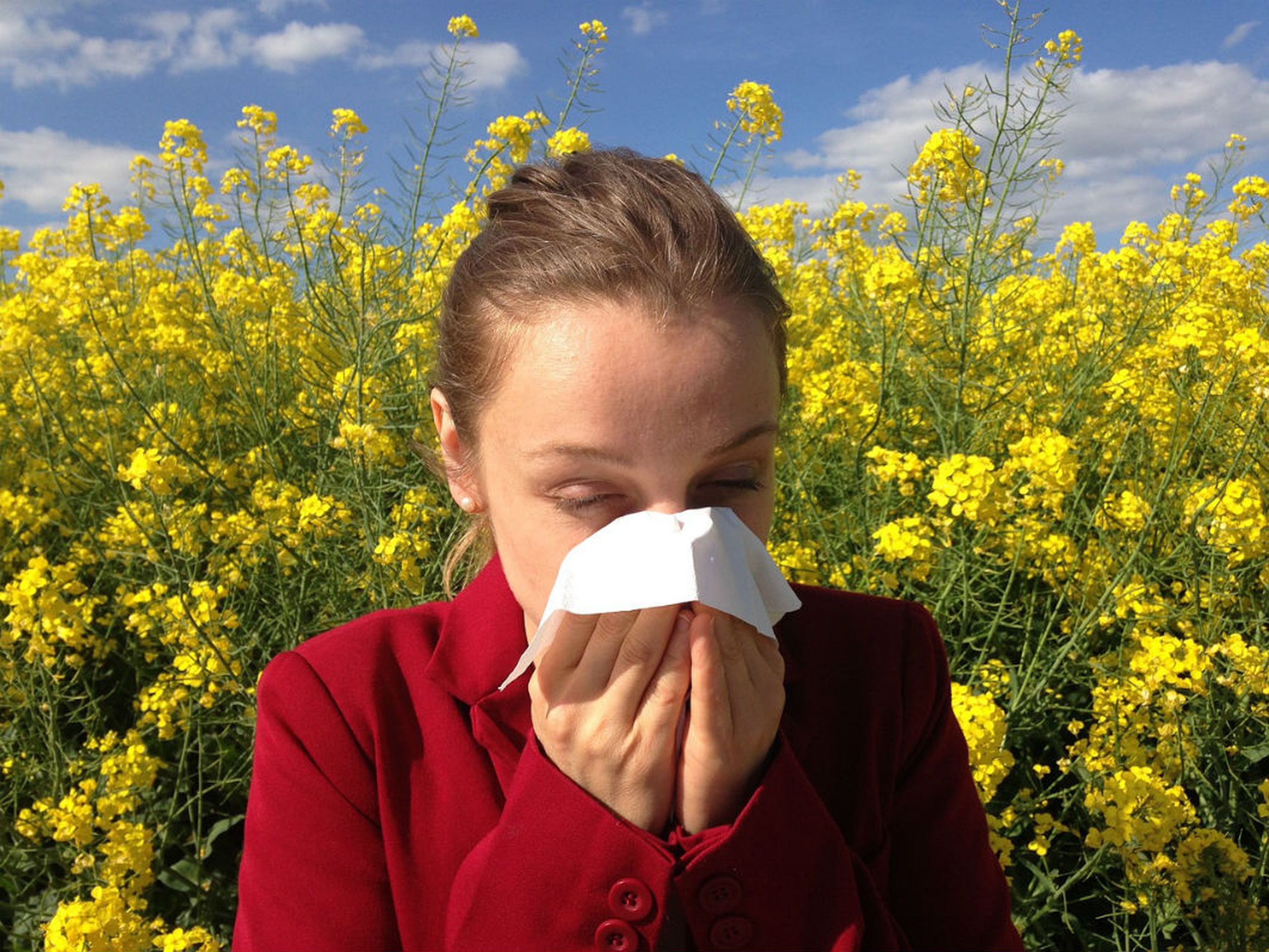 Combatir alergia primaveral