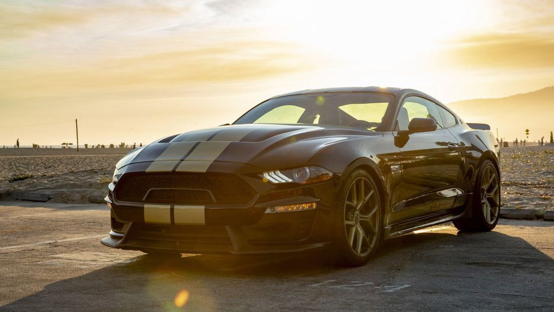 Ford Mustang Shelby 2019