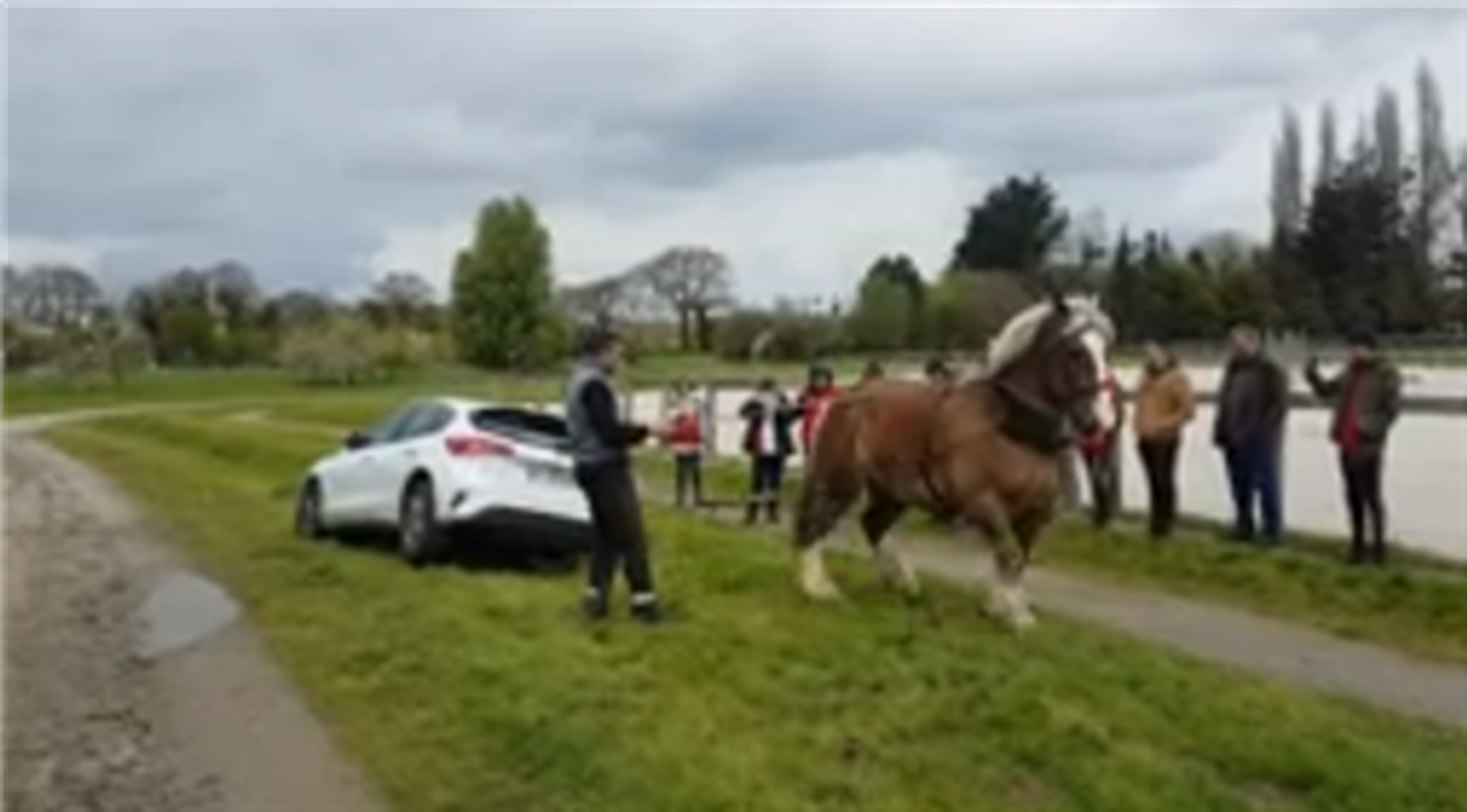 Un caballo demuestra su fuerza sacando un coche de una zanja