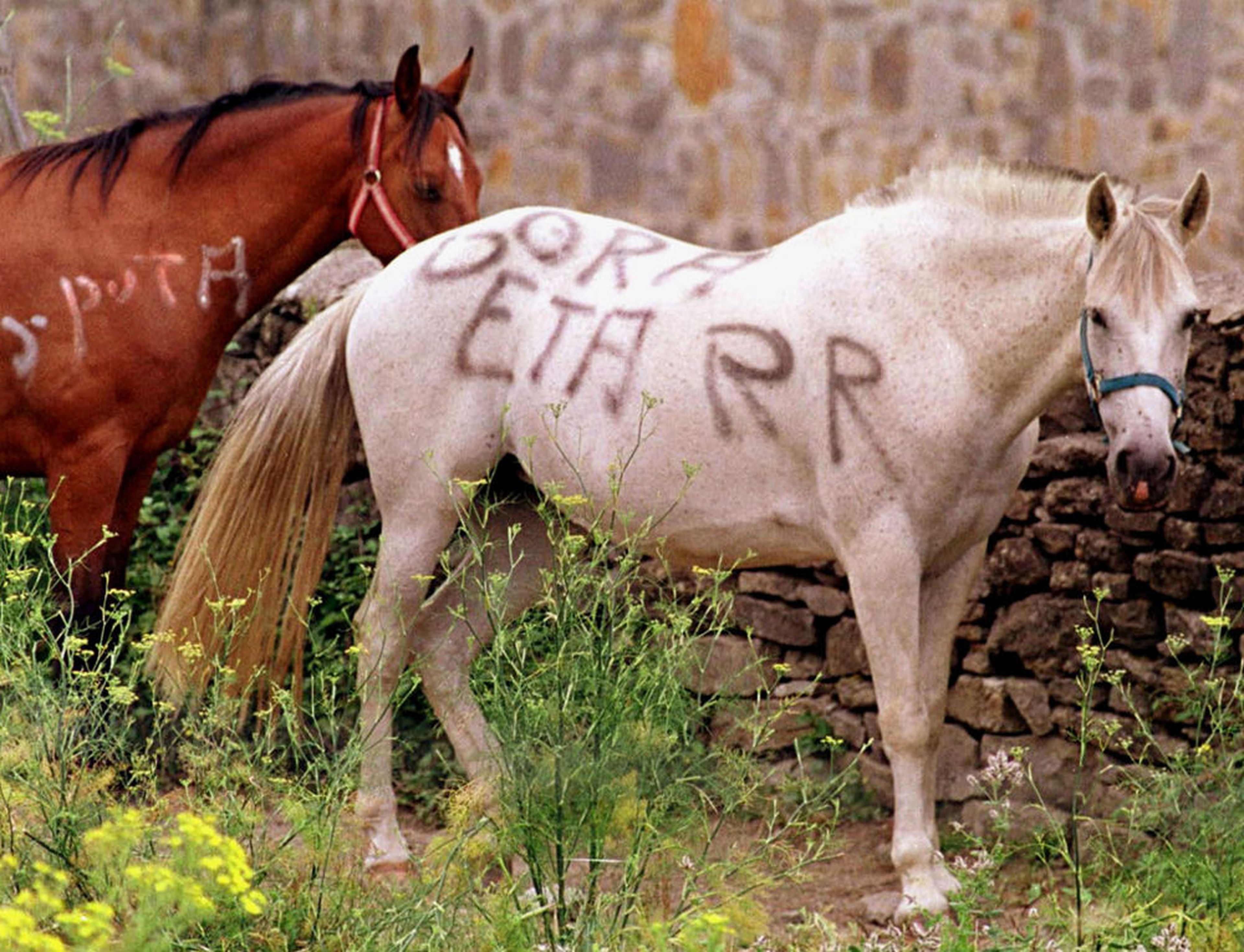 Los caballos de la familia de Abascal también sufrieron durante esta etapa pintadas en favor de ETA.