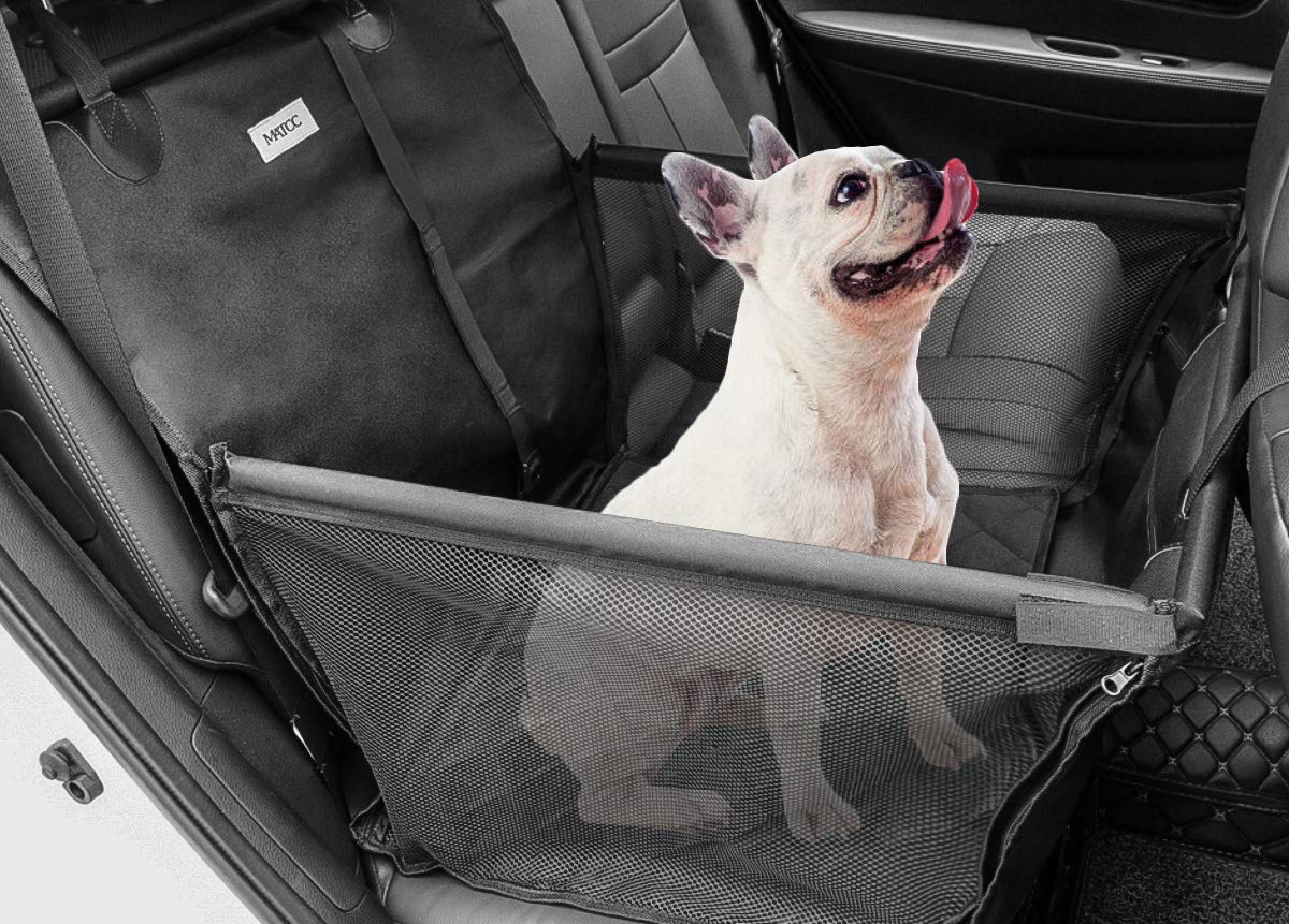 Normativa y accesorios para viajar en coche con perro de manera segura