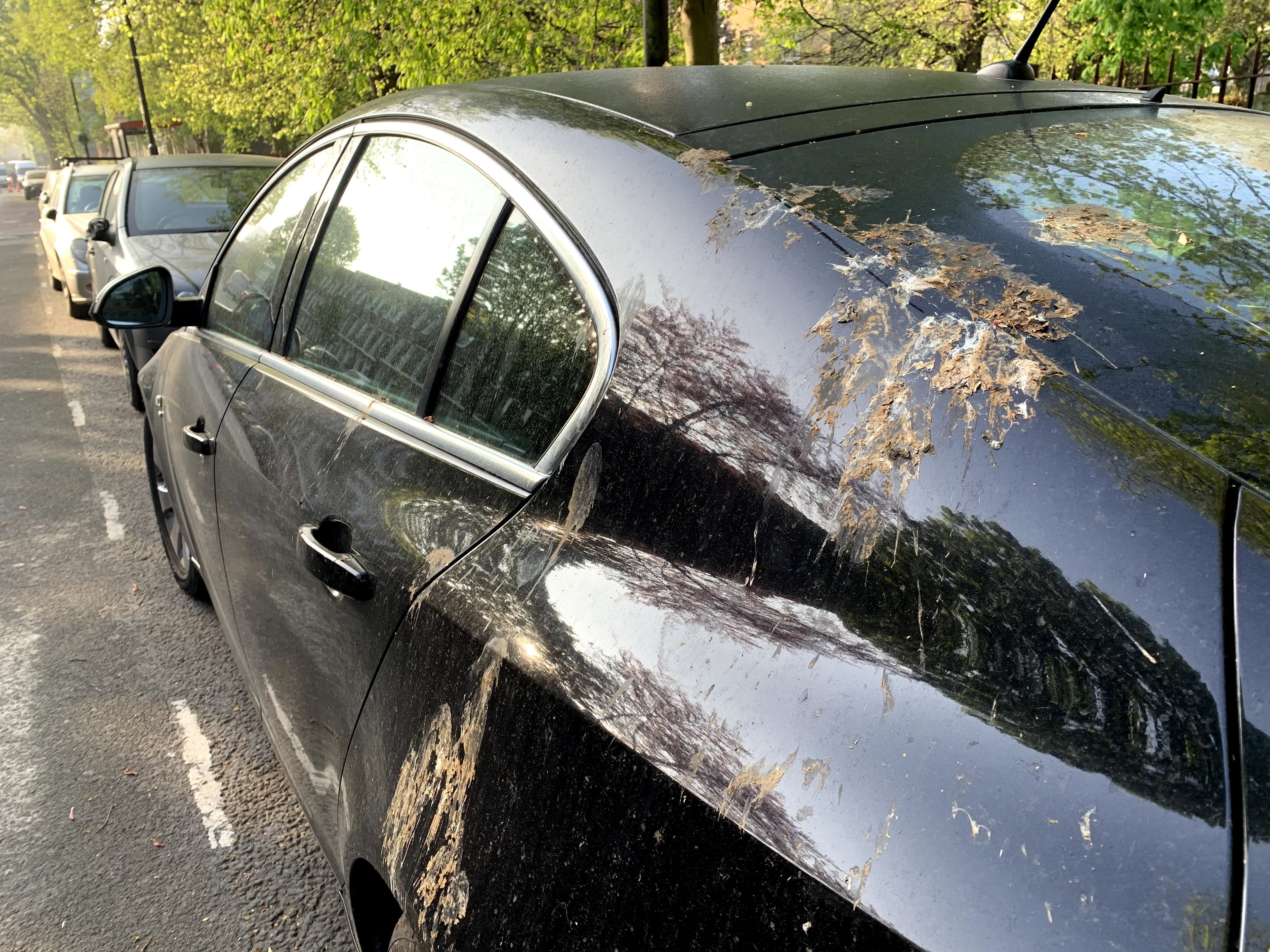 Cómo la caca de pájaro artificial puede ayudarte a cuidar la pintura de tu coche