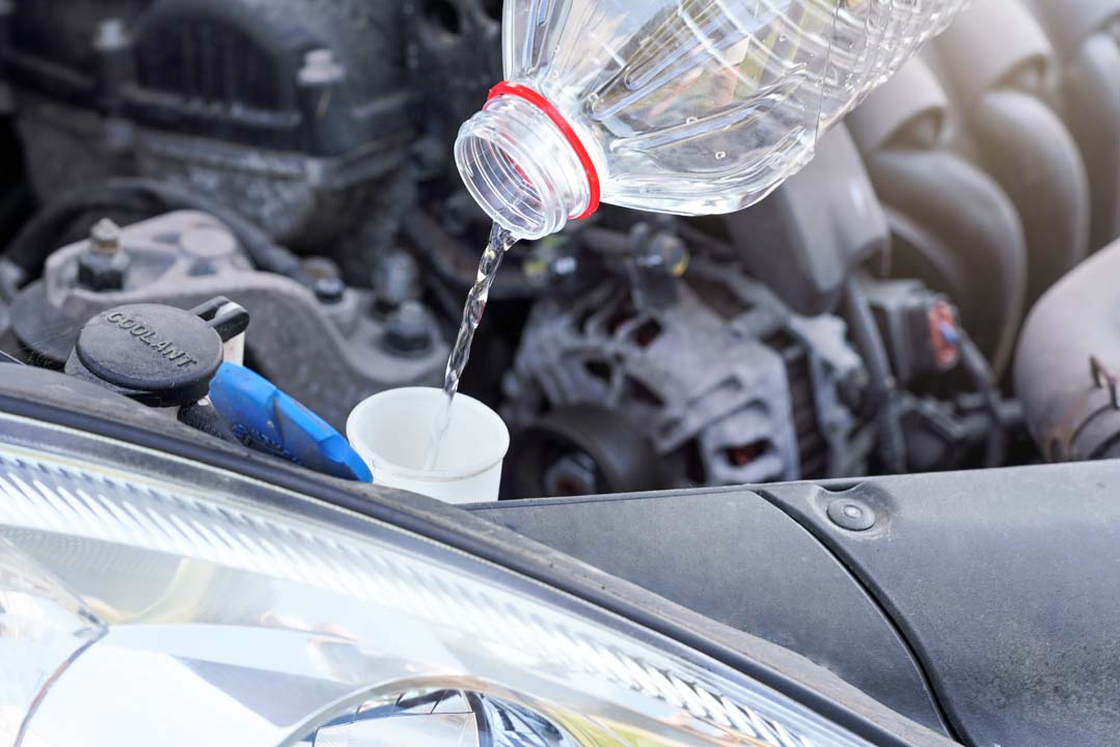 Cómo agregar líquido limpiaparabrisas a tu auto: 11 Pasos