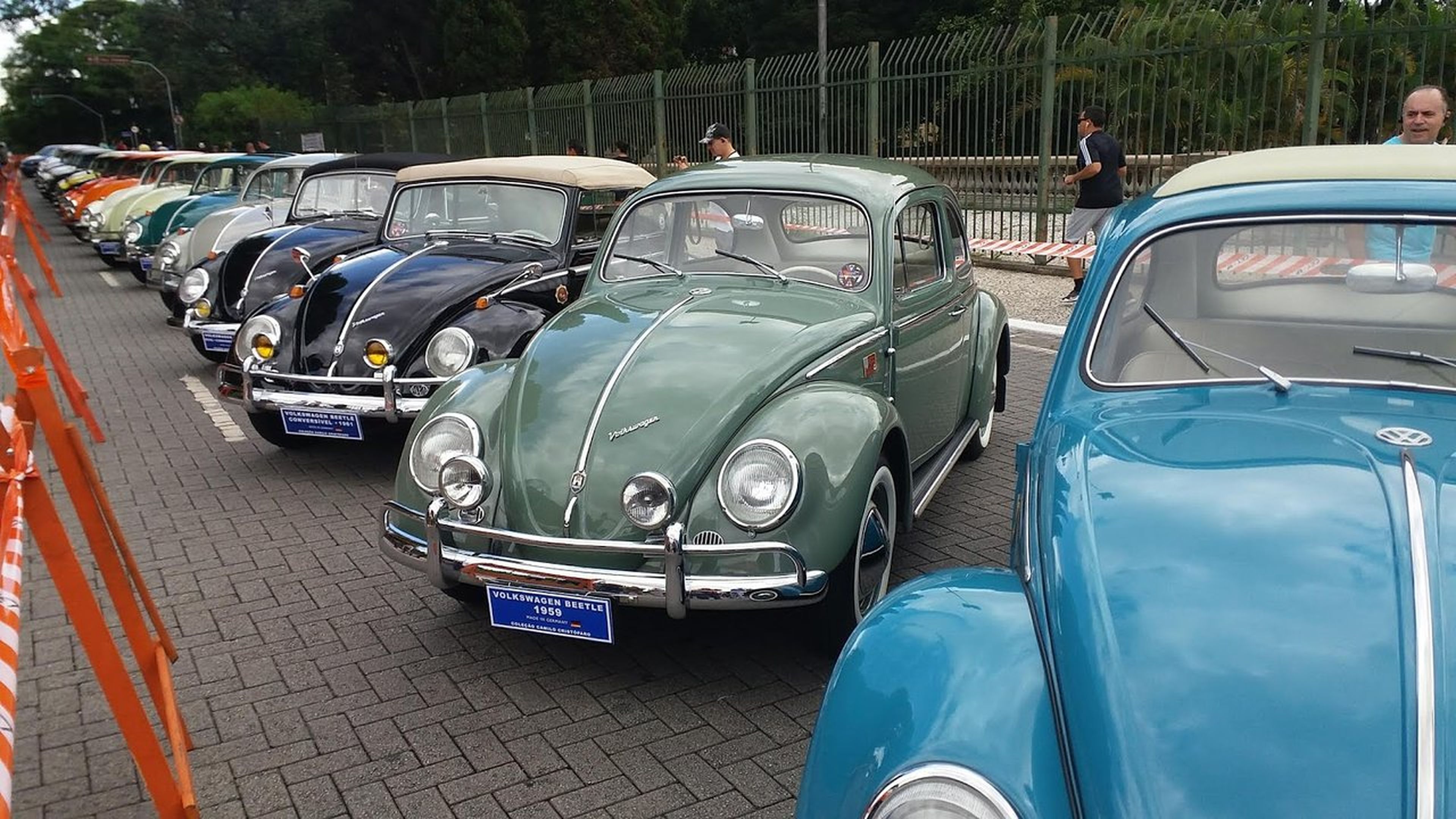Desfile más largo VW Beetle