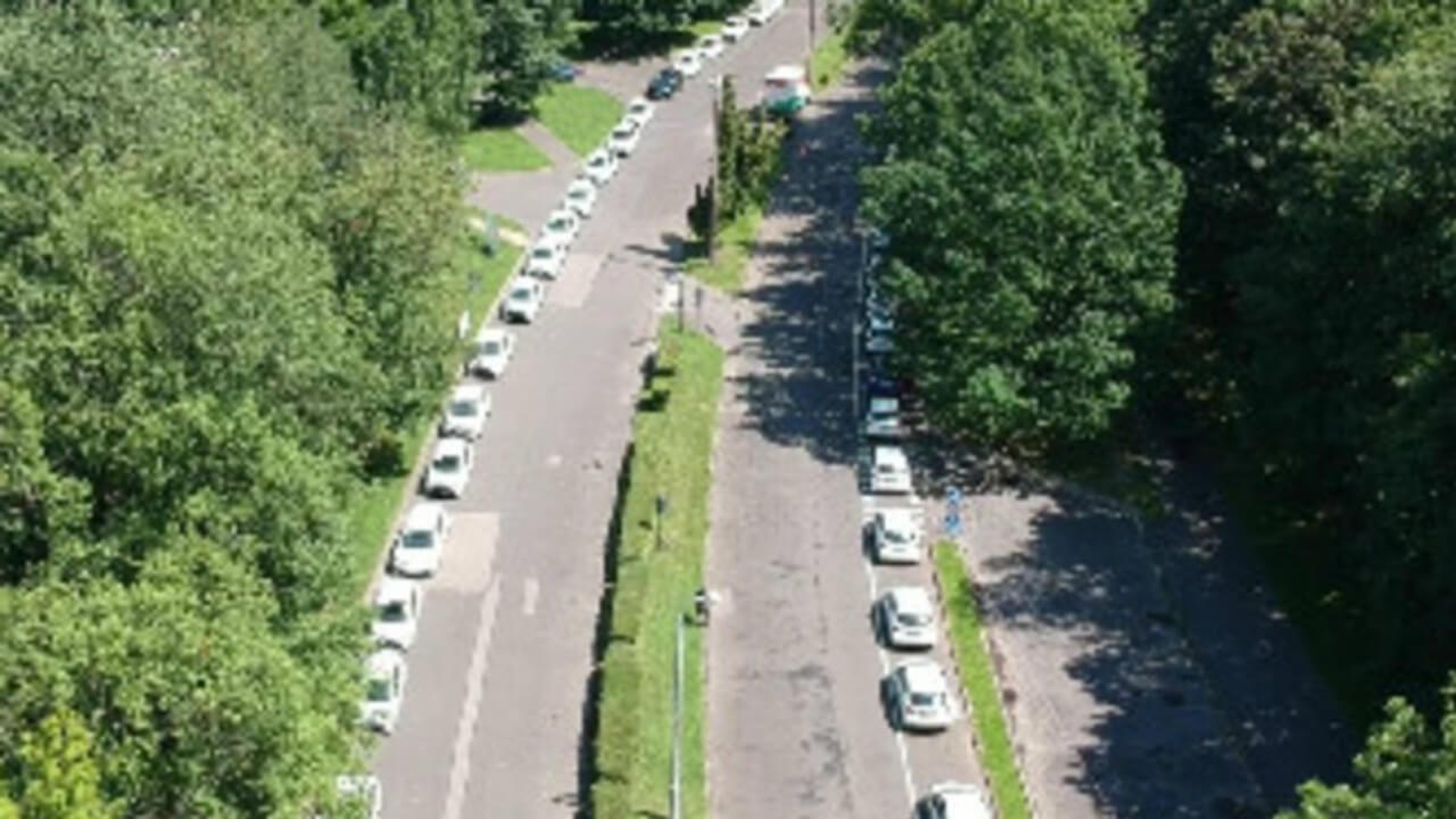 El mayor desfile de coches híbridos del mundo