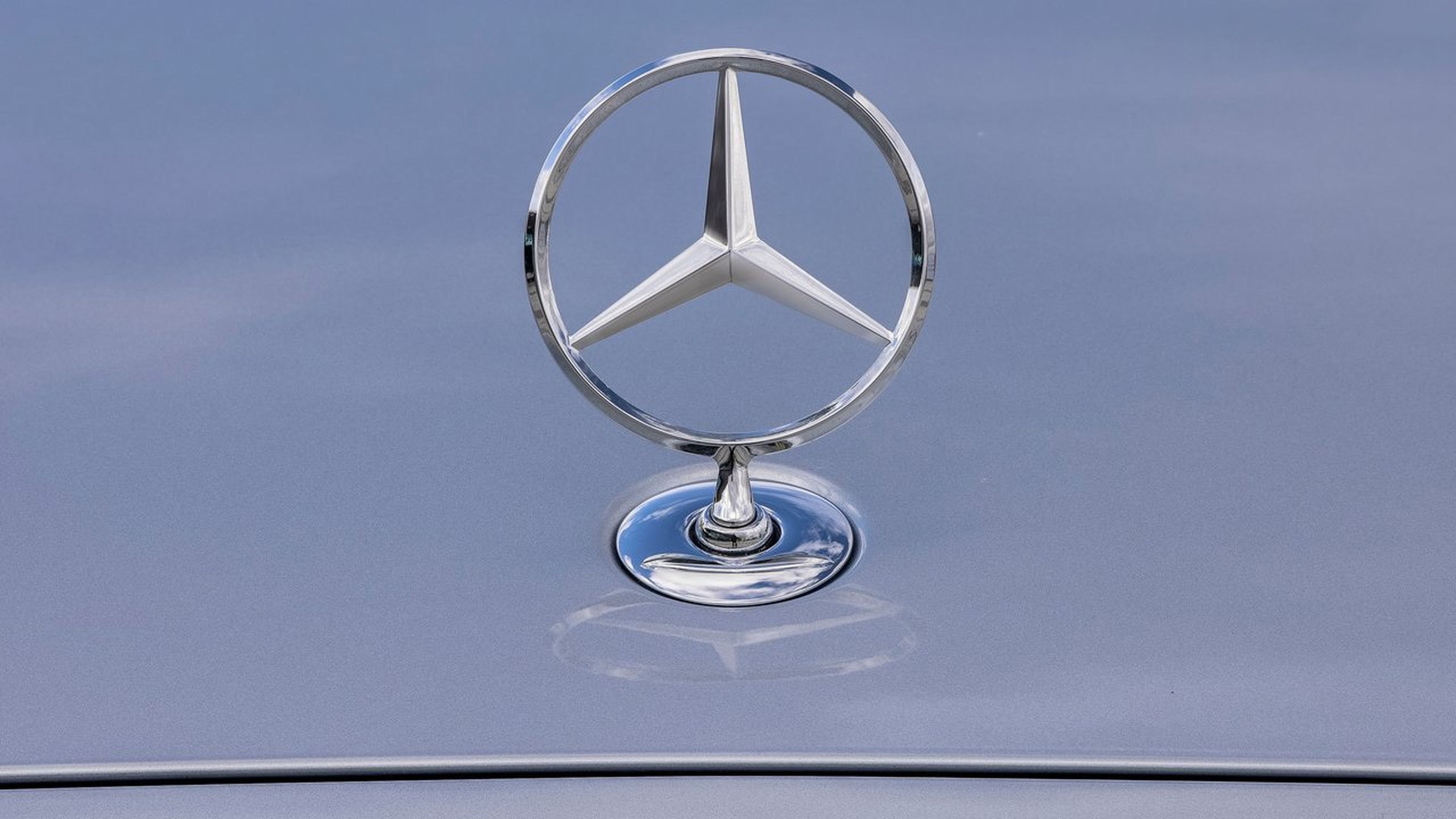 5 frikadas Mercedes