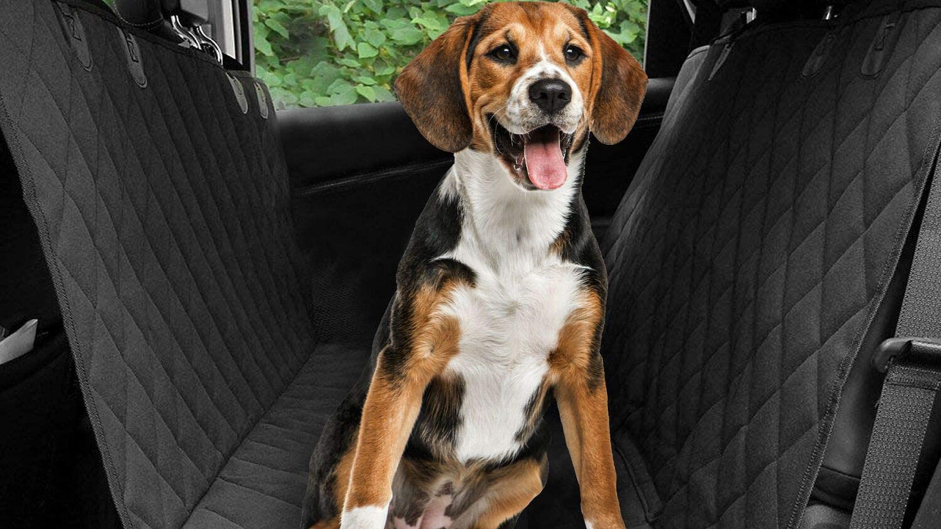 Funda de coche para perros con cinturón de seguridad legal por 23