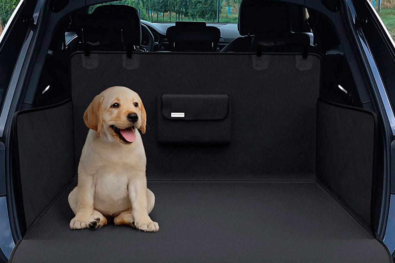 ¿Puedo llevar al perro en el maletero del coche? Así podrás viajar con seguridad conforme a la ley