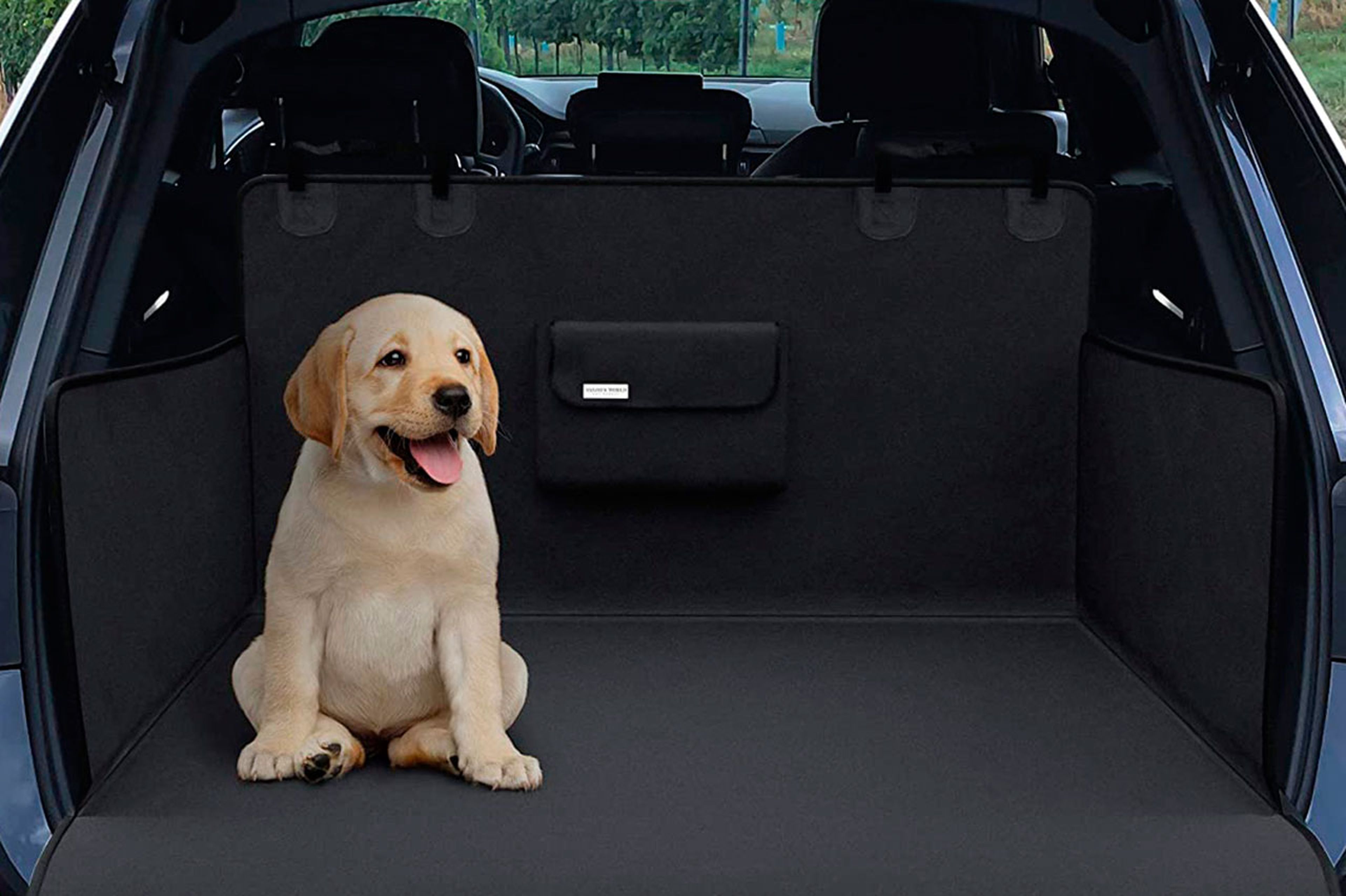 Cómo viajar con los perros en el coche