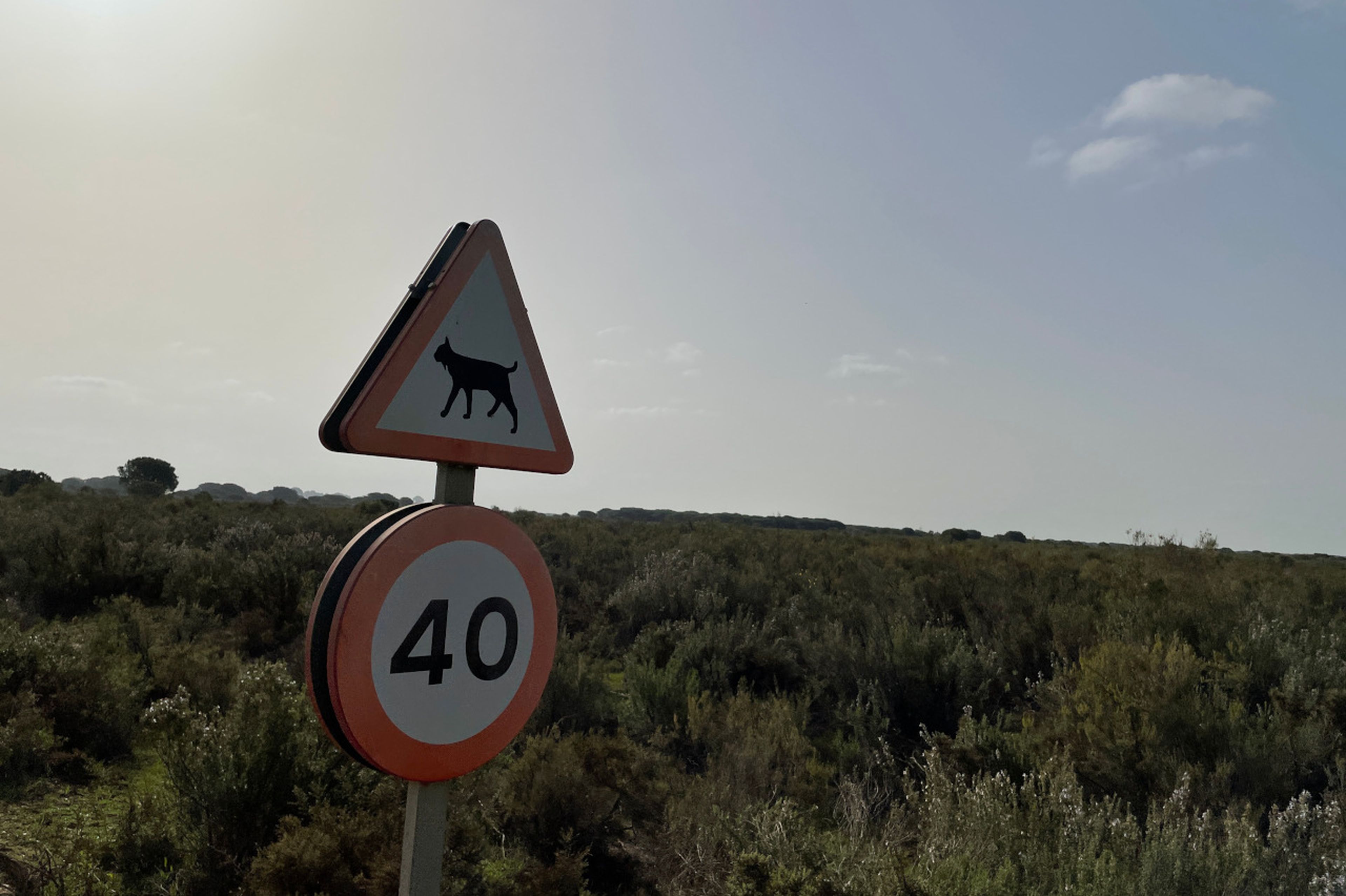 Señal de tráfico que indica la presencia de linces en Doñana.