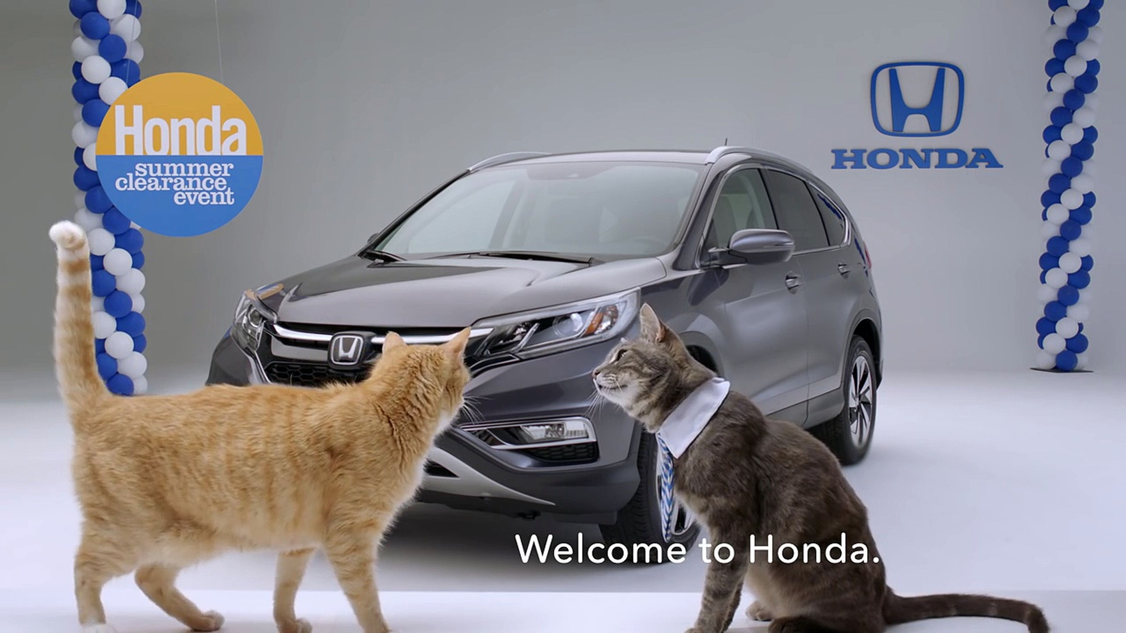 El anuncio más gatuno de Honda