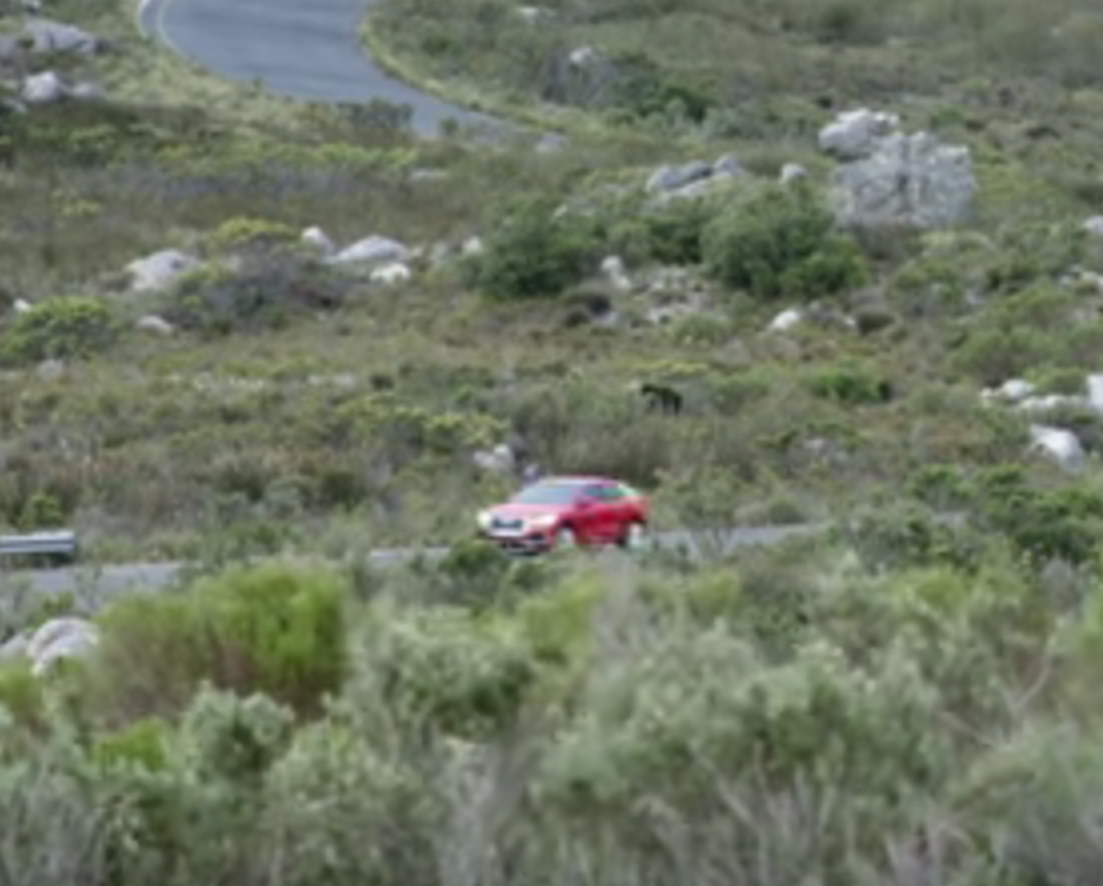 Audi Q2: más imágenes del esperado SUV compacto, ¿lo ves?
