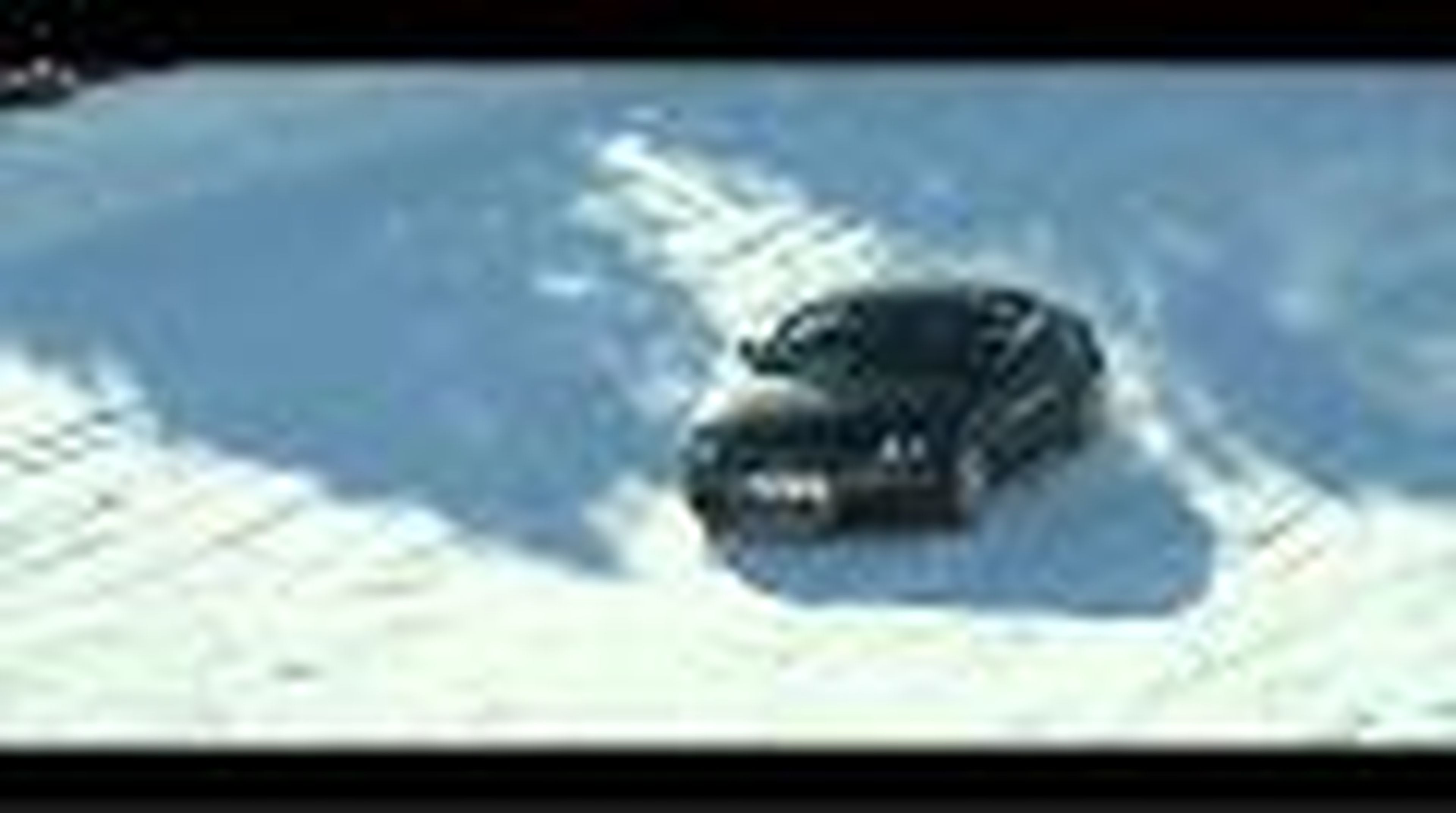Curso de conduccion sobre nieve de Audi
