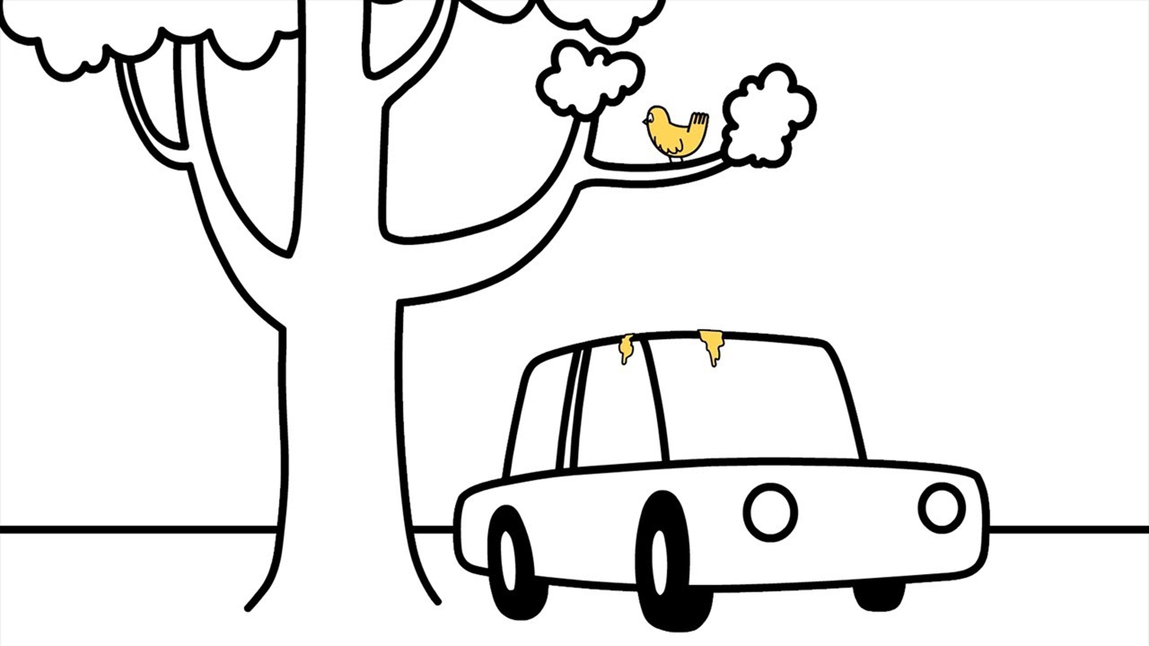 Ford Versus Bird Poop