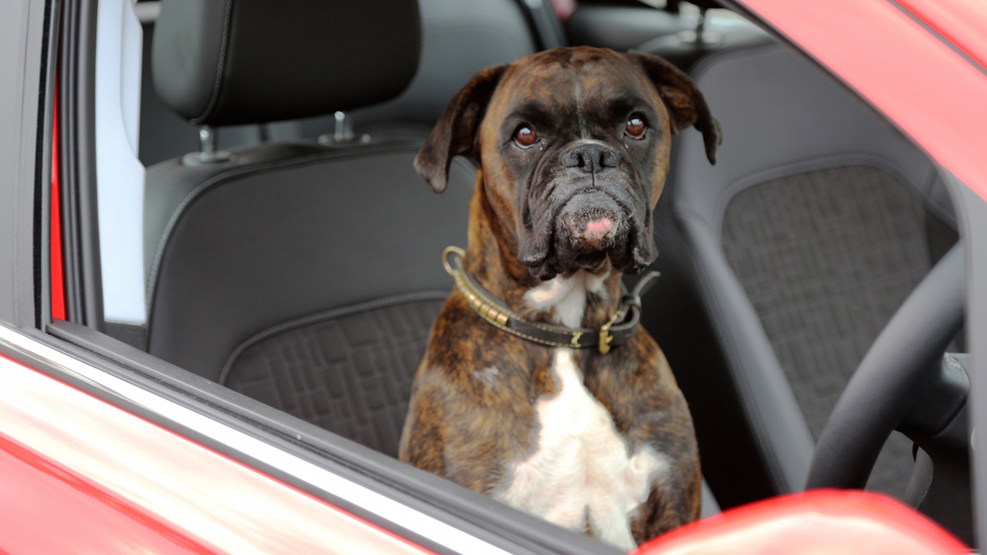 El Opel Corsa con asistente avanzado de aparcamiento #ParallelBarking